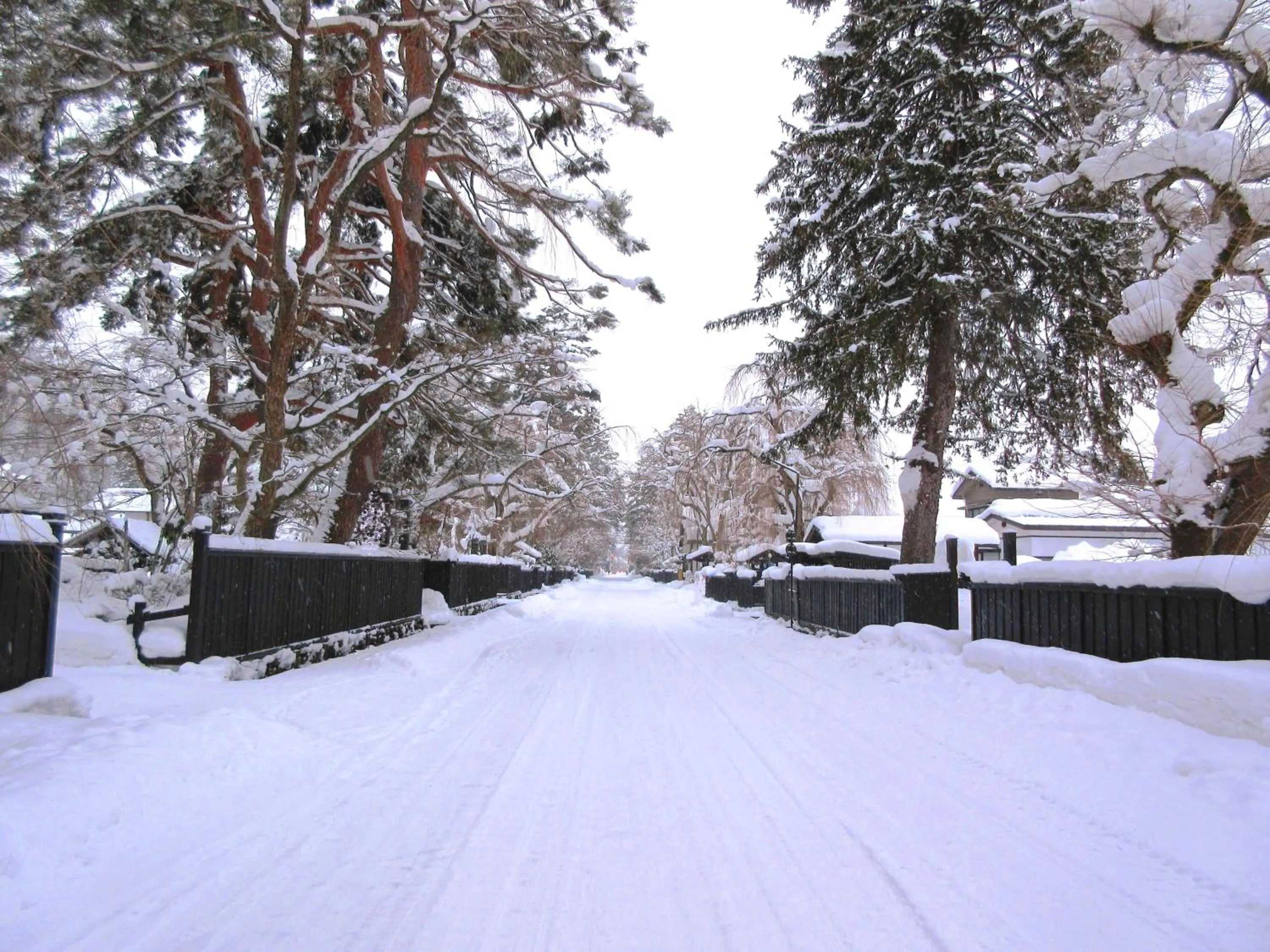 Winter in Hotel Folkloro Kakunodate