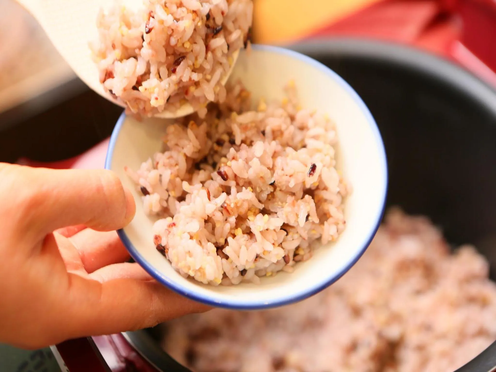 Food close-up in Manza Hotel Juraku