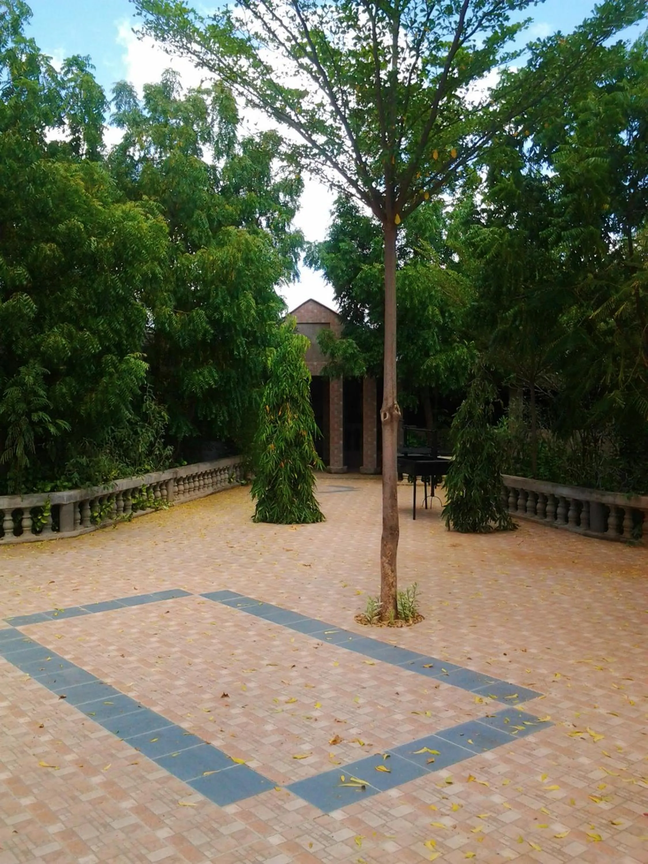 Garden in Proland Inn