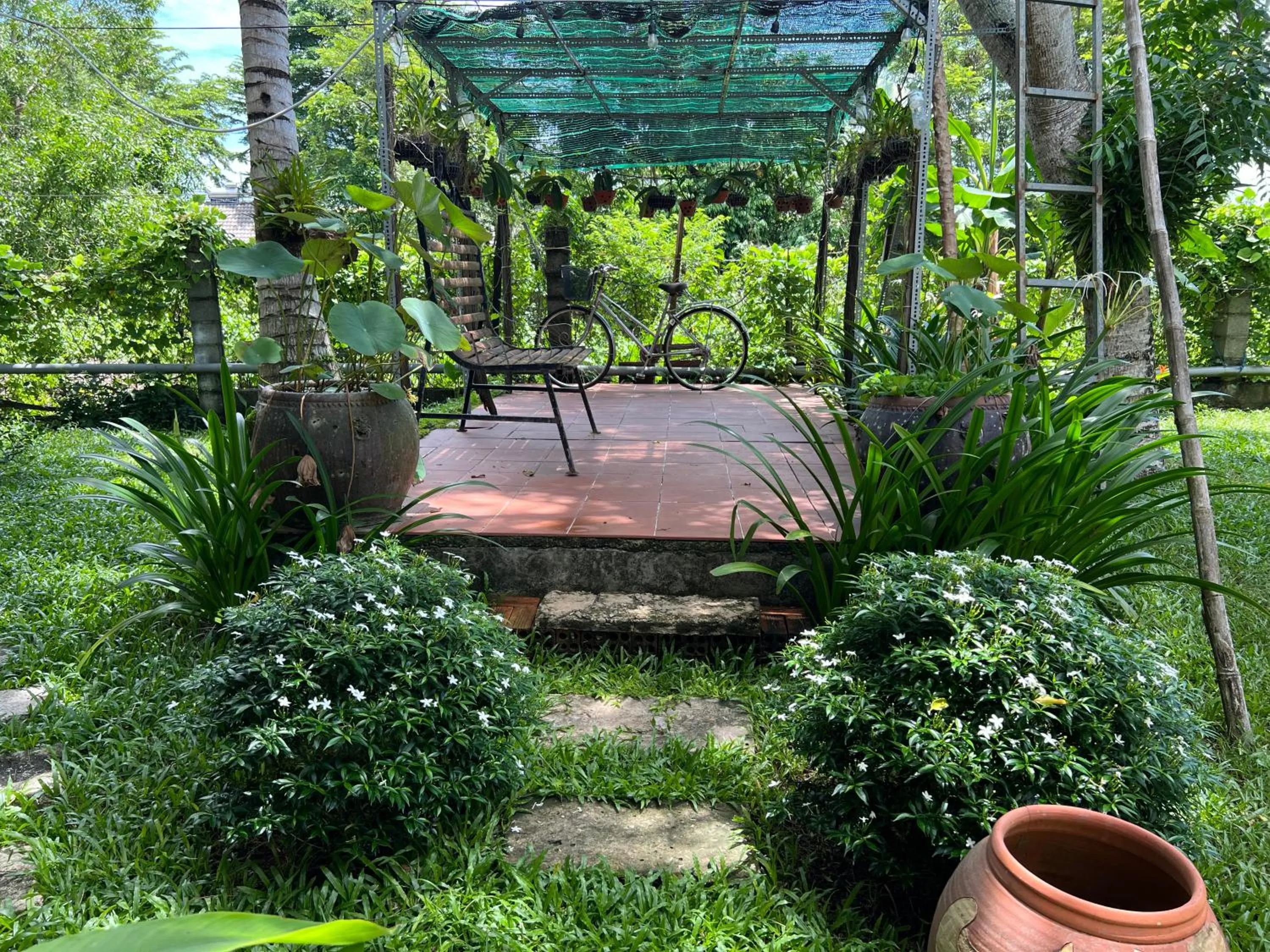 Spring in Tropical Garden Phu Quoc