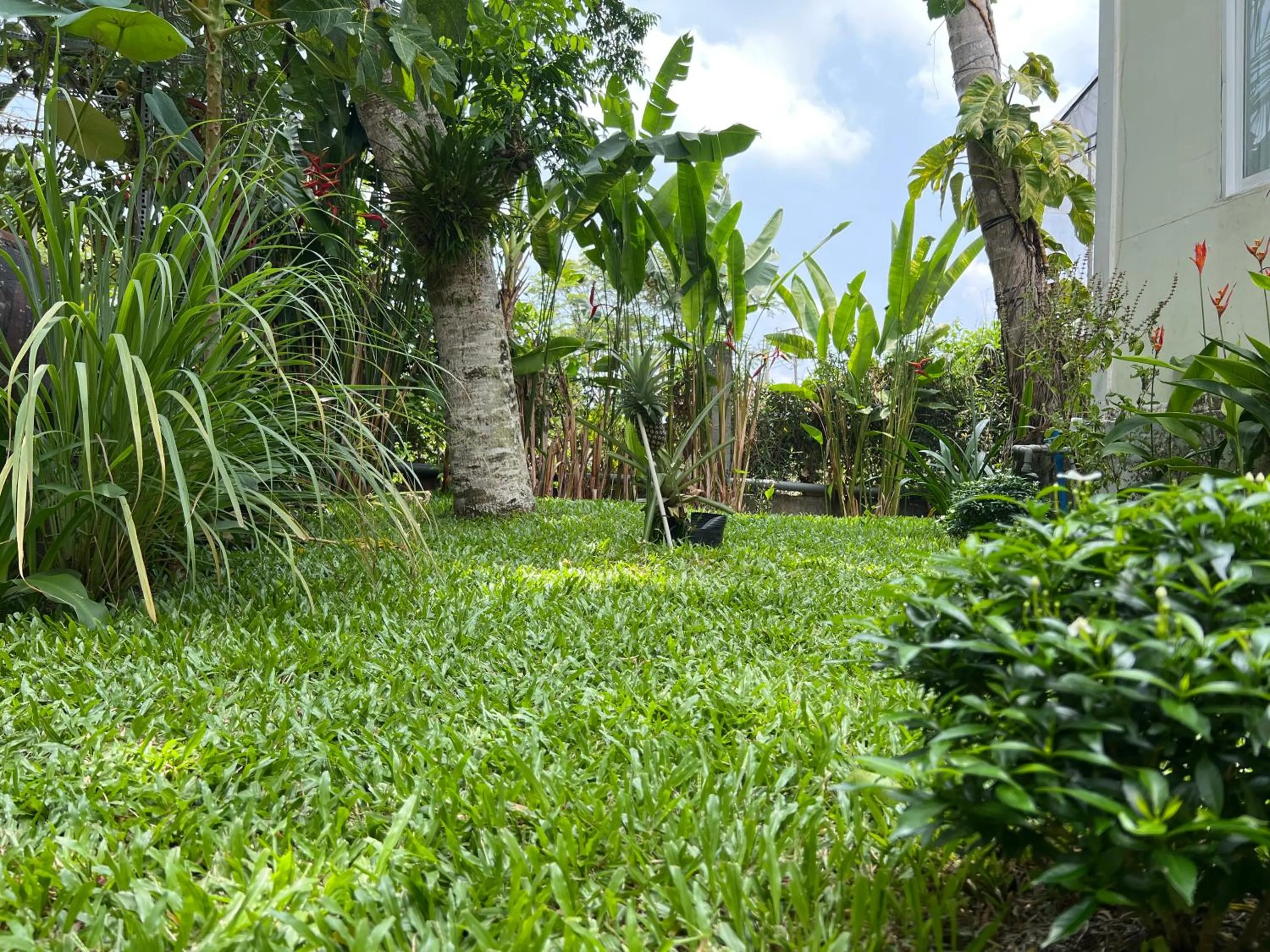 Natural landscape in Tropical Garden Phu Quoc