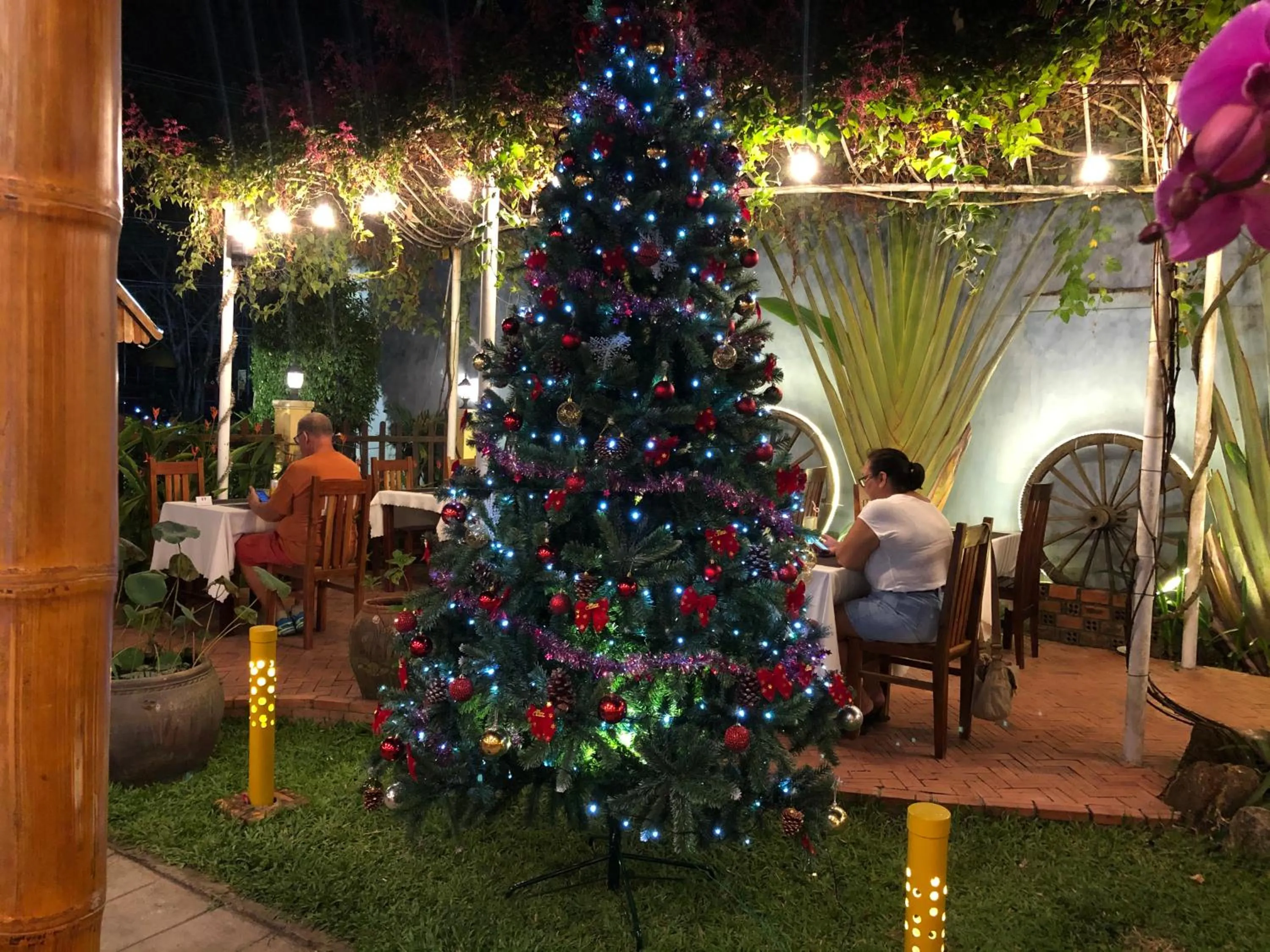 Evening entertainment in Tropical Garden Phu Quoc