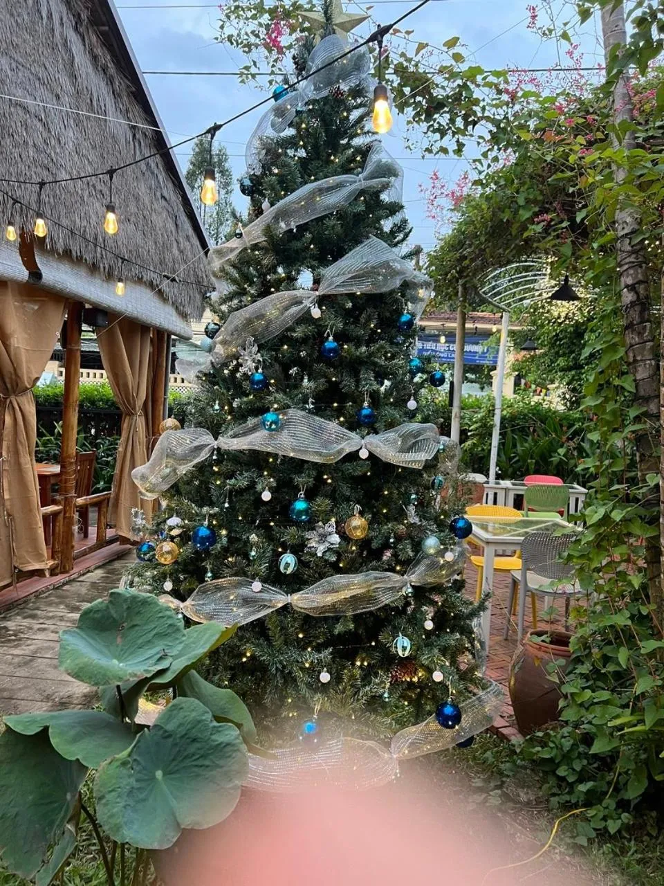 Tropical Garden Phu Quoc