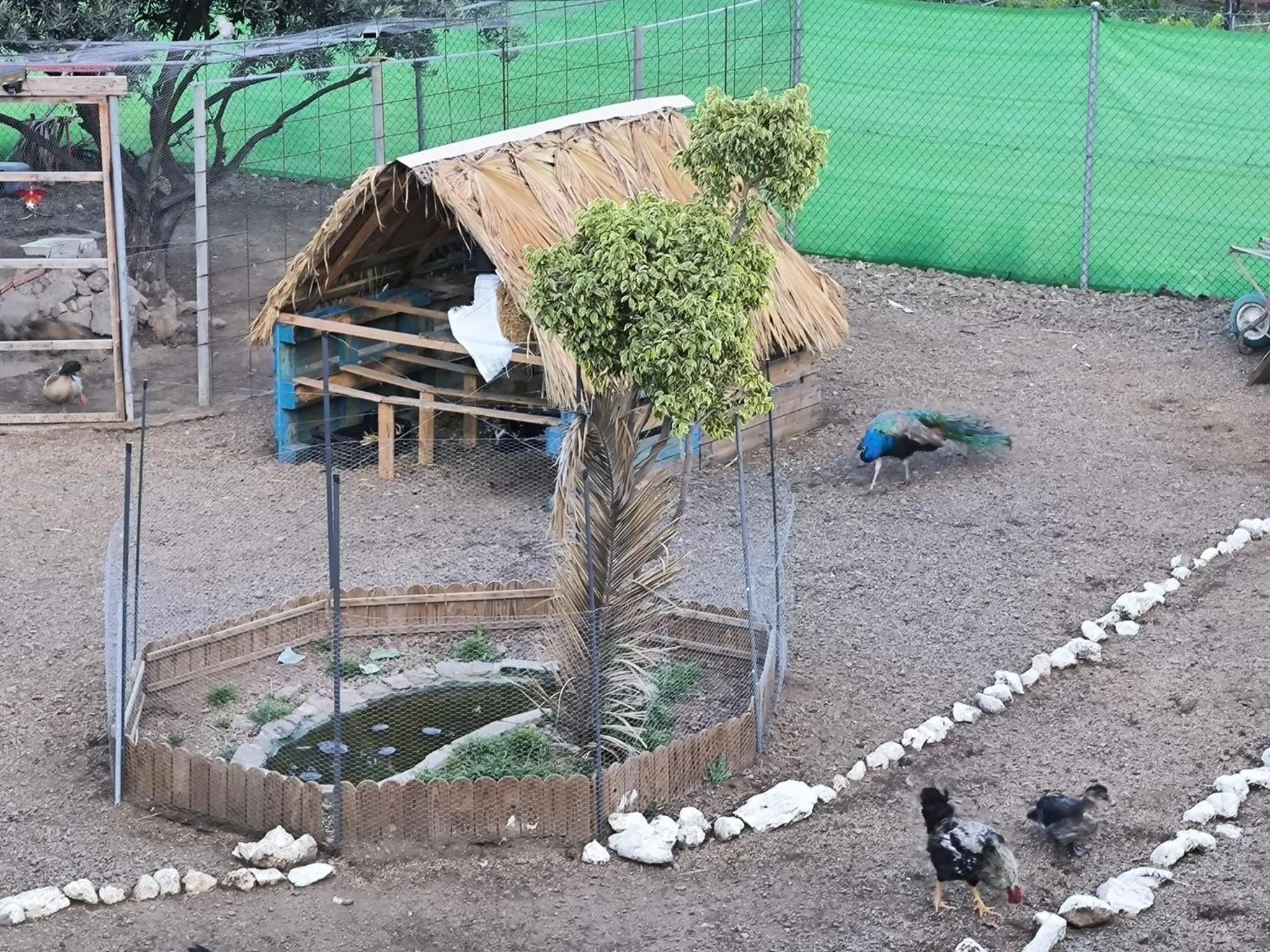 Children play ground in Hotel Rural La Raya 1866