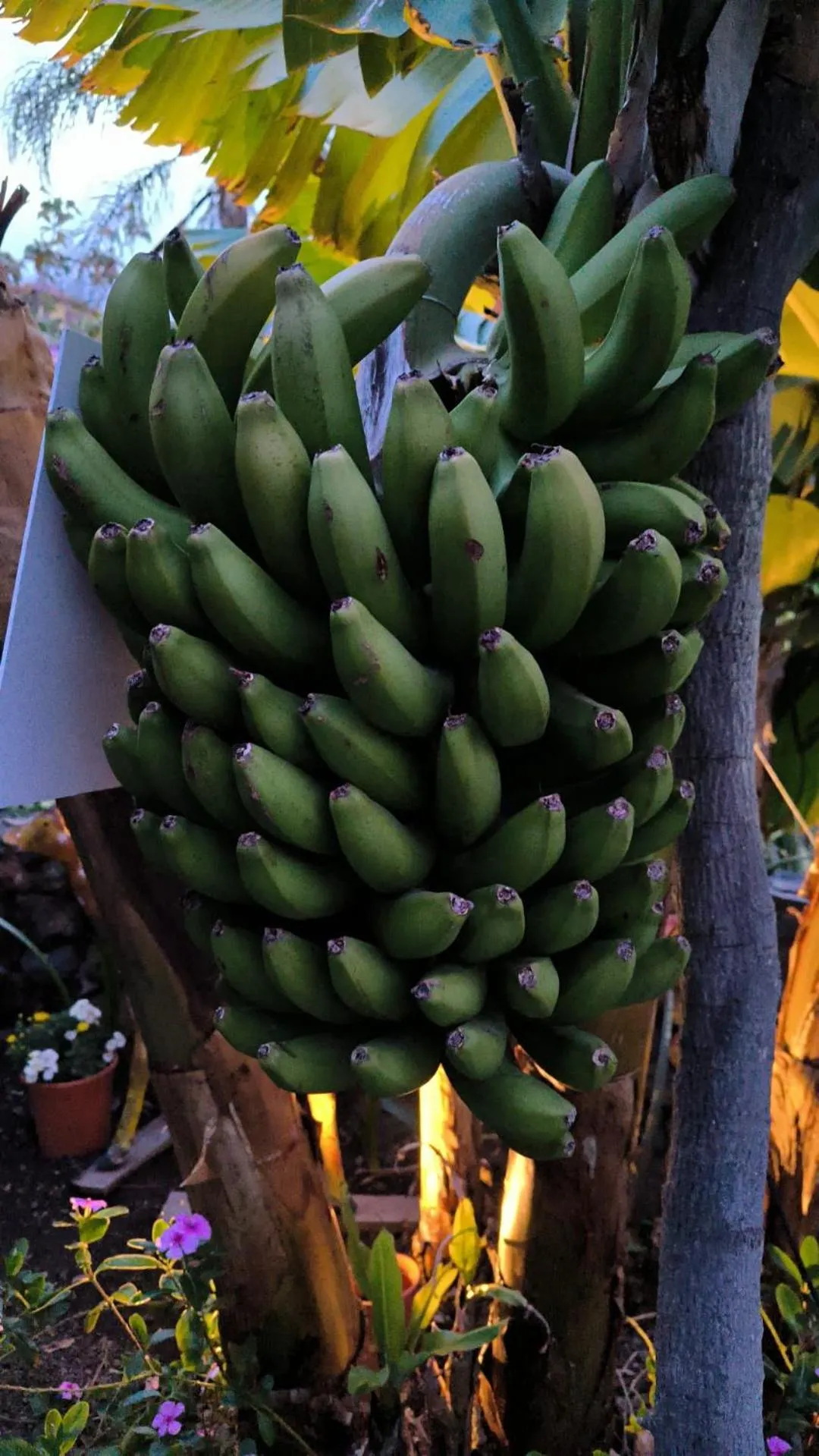 Day in Hotel Rural La Raya 1866