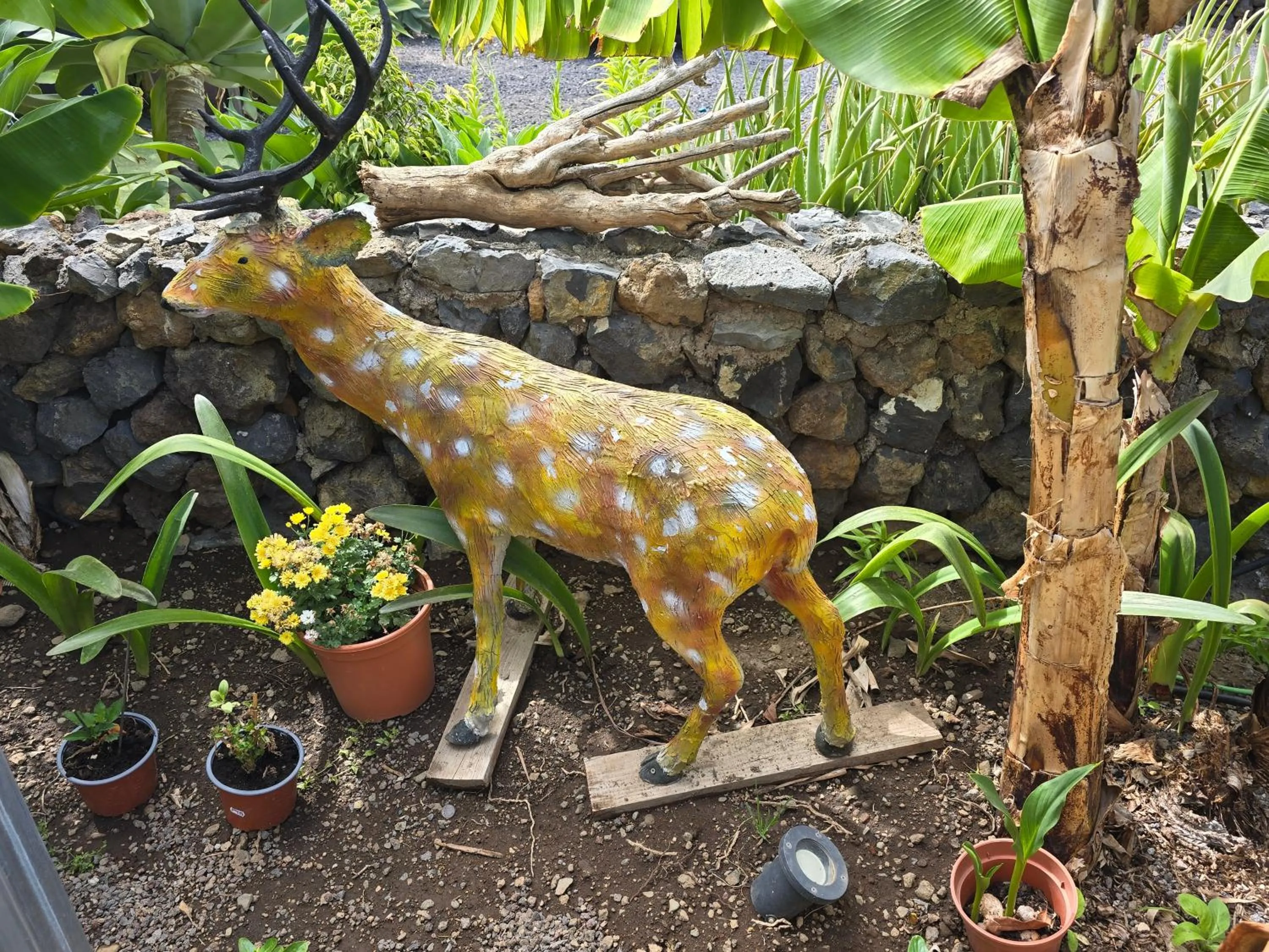 Children play ground in Hotel Rural La Raya 1866
