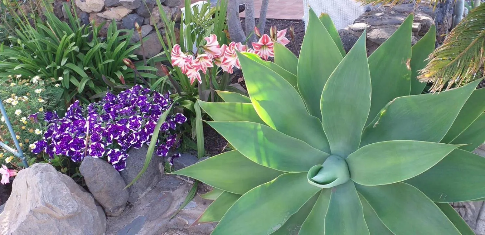 Garden in Hotel Rural La Raya 1866