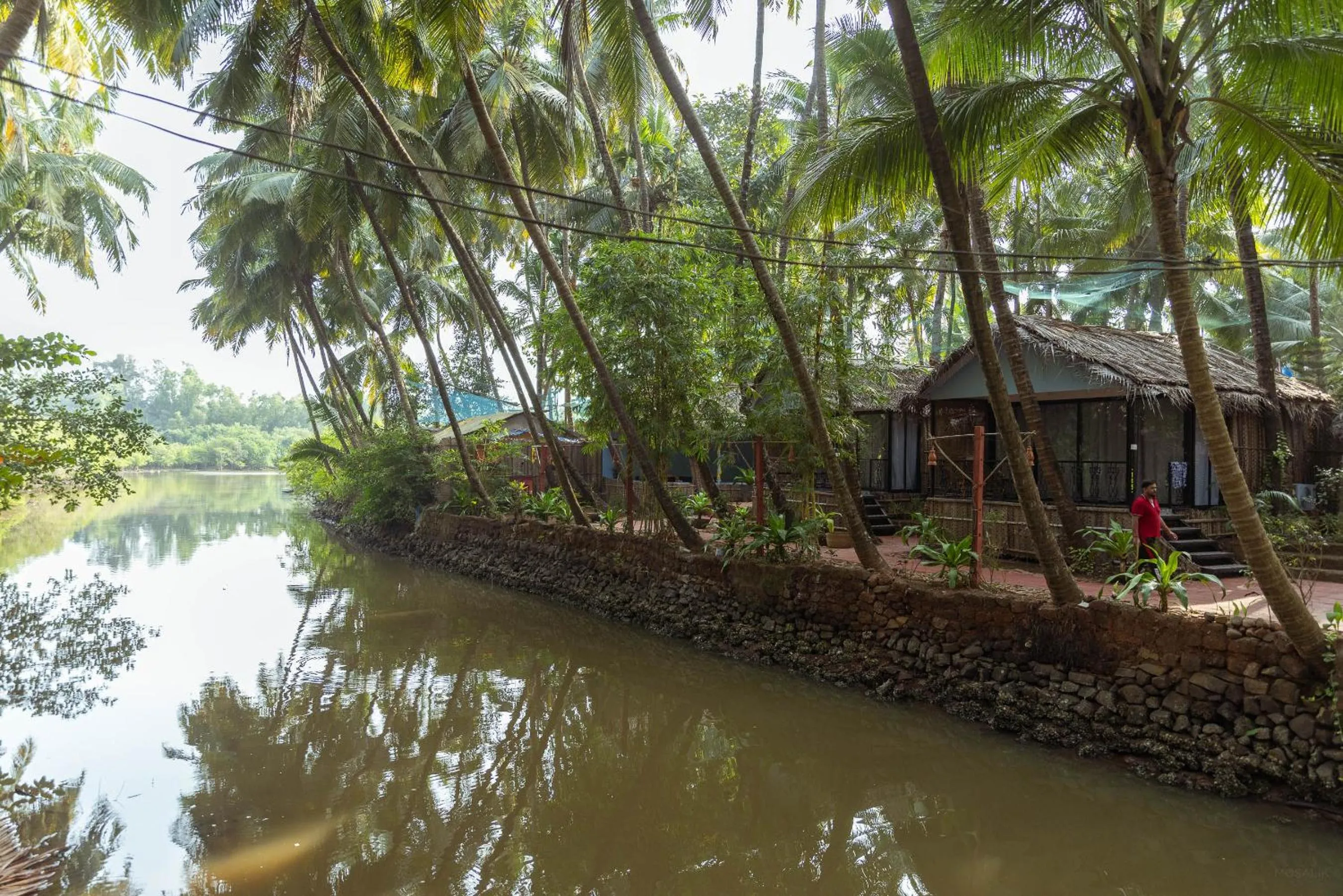 Natural landscape in Palm Trees Ayurvedic Heritage