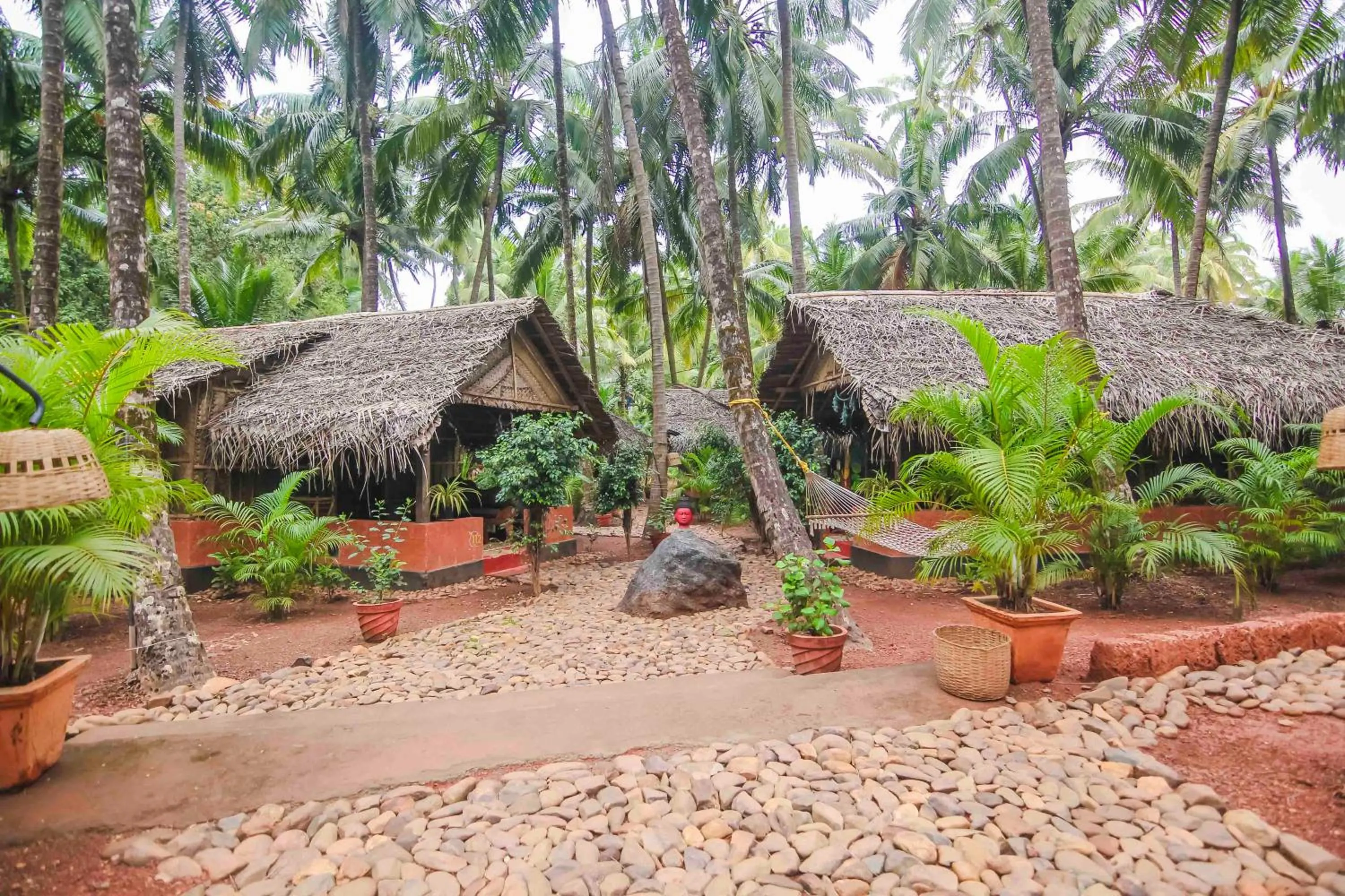 Bird's eye view in Palm Trees Ayurvedic Heritage