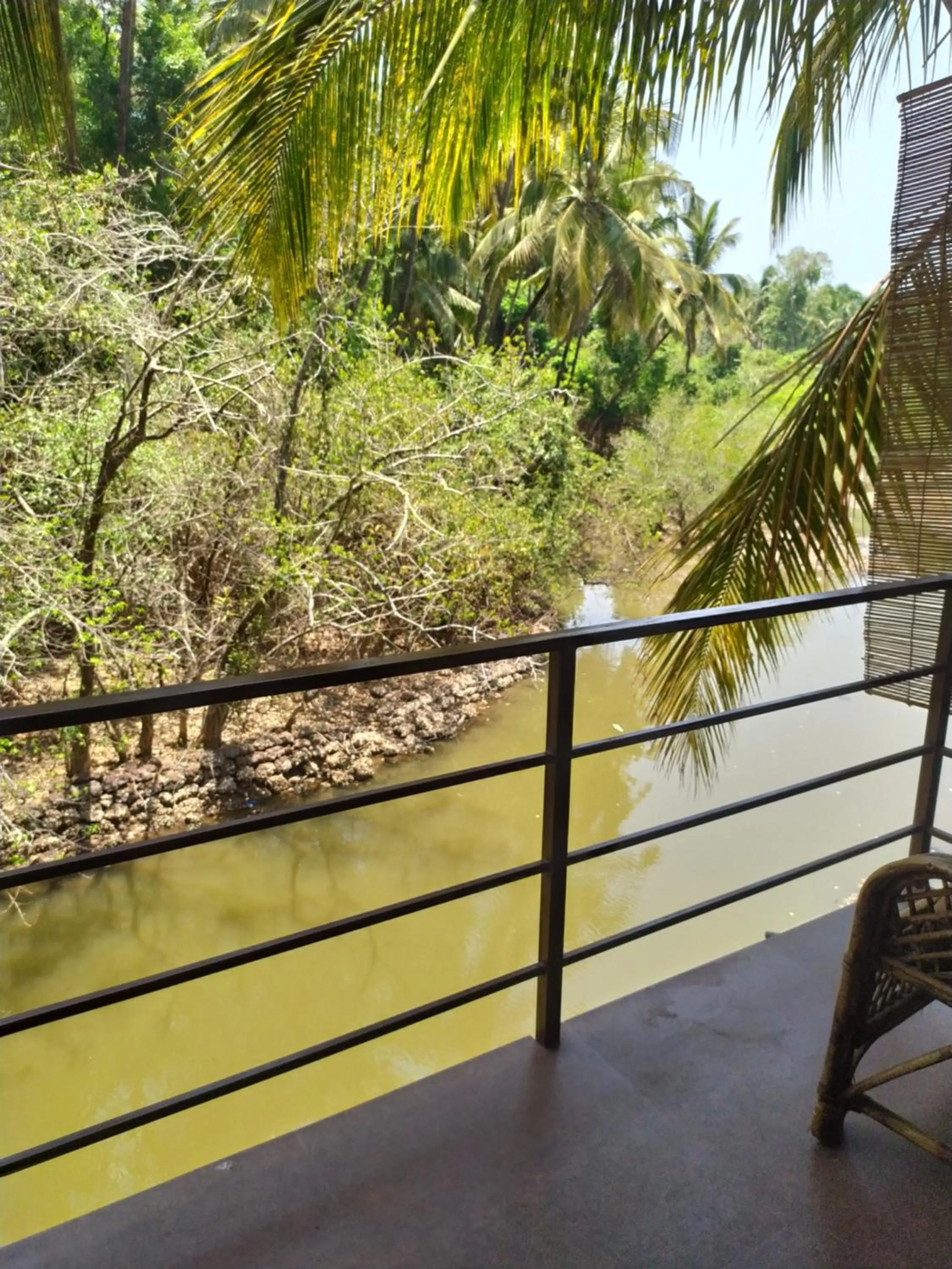 Lake view in Palm Trees Ayurvedic Heritage