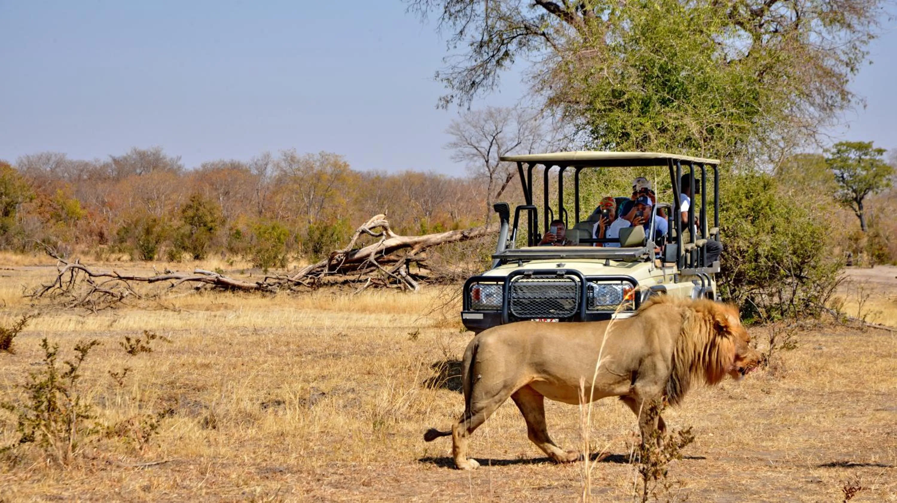 Day in Hwange Safari Lodge