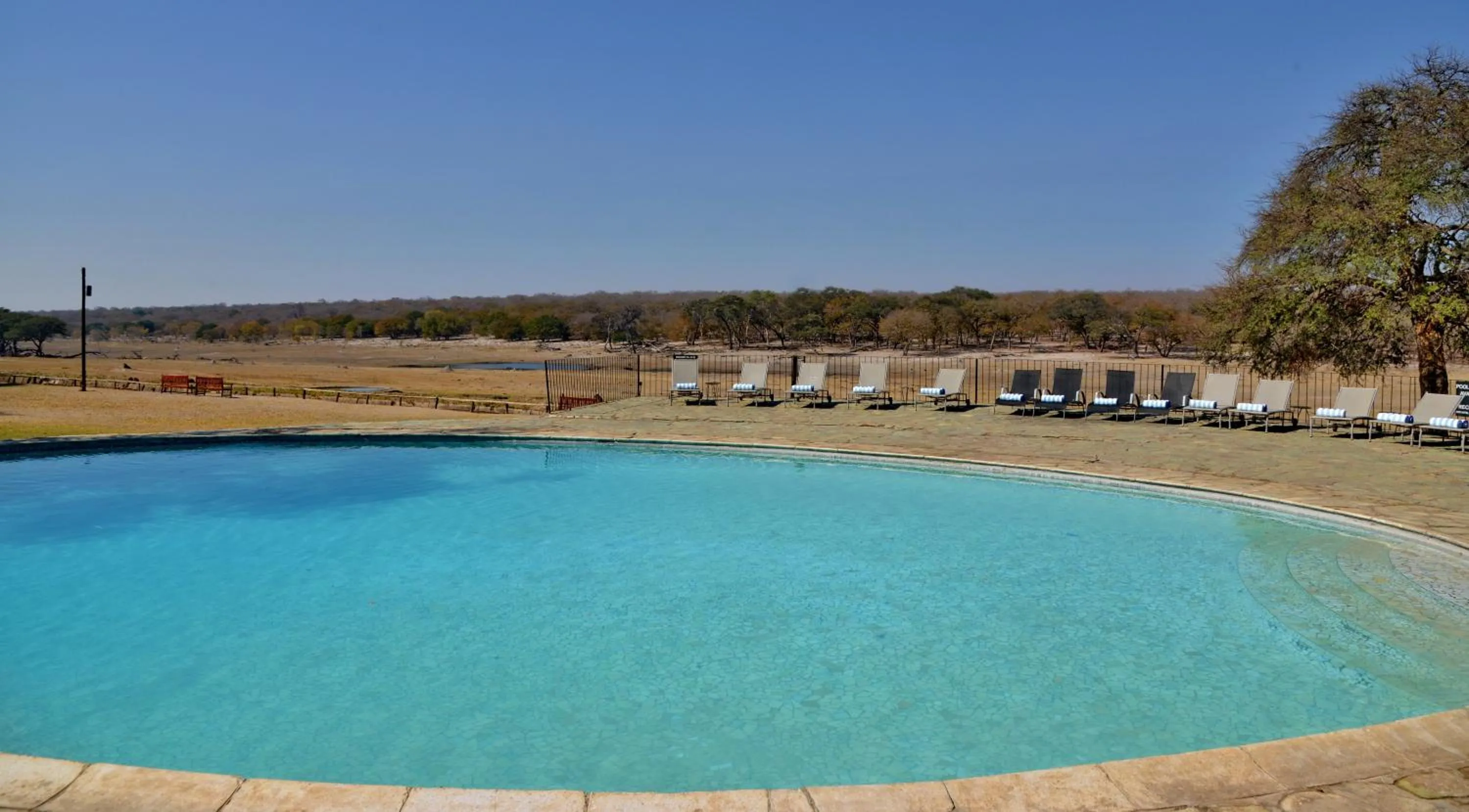 Pool view in Hwange Safari Lodge