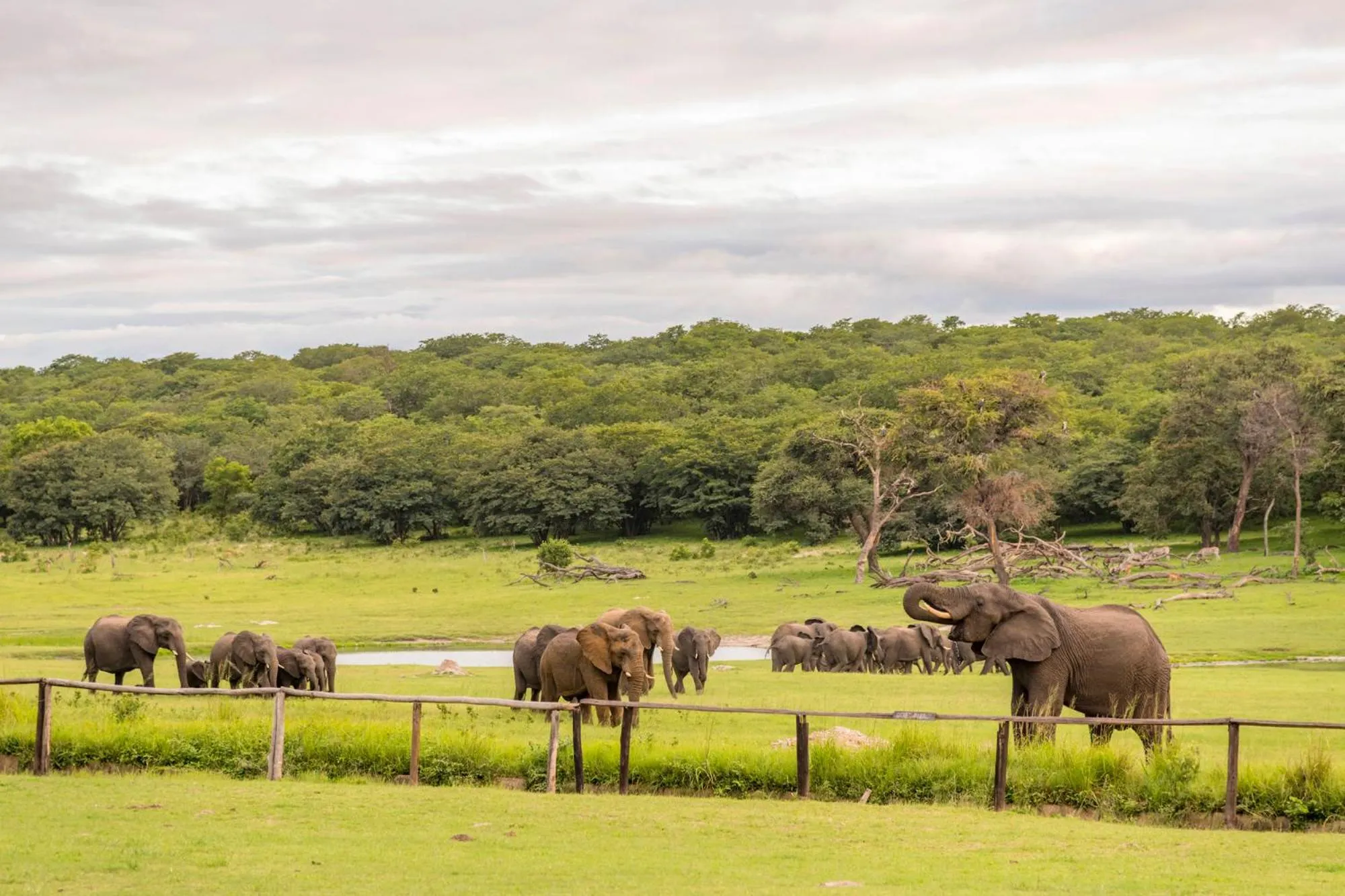 Day in Hwange Safari Lodge