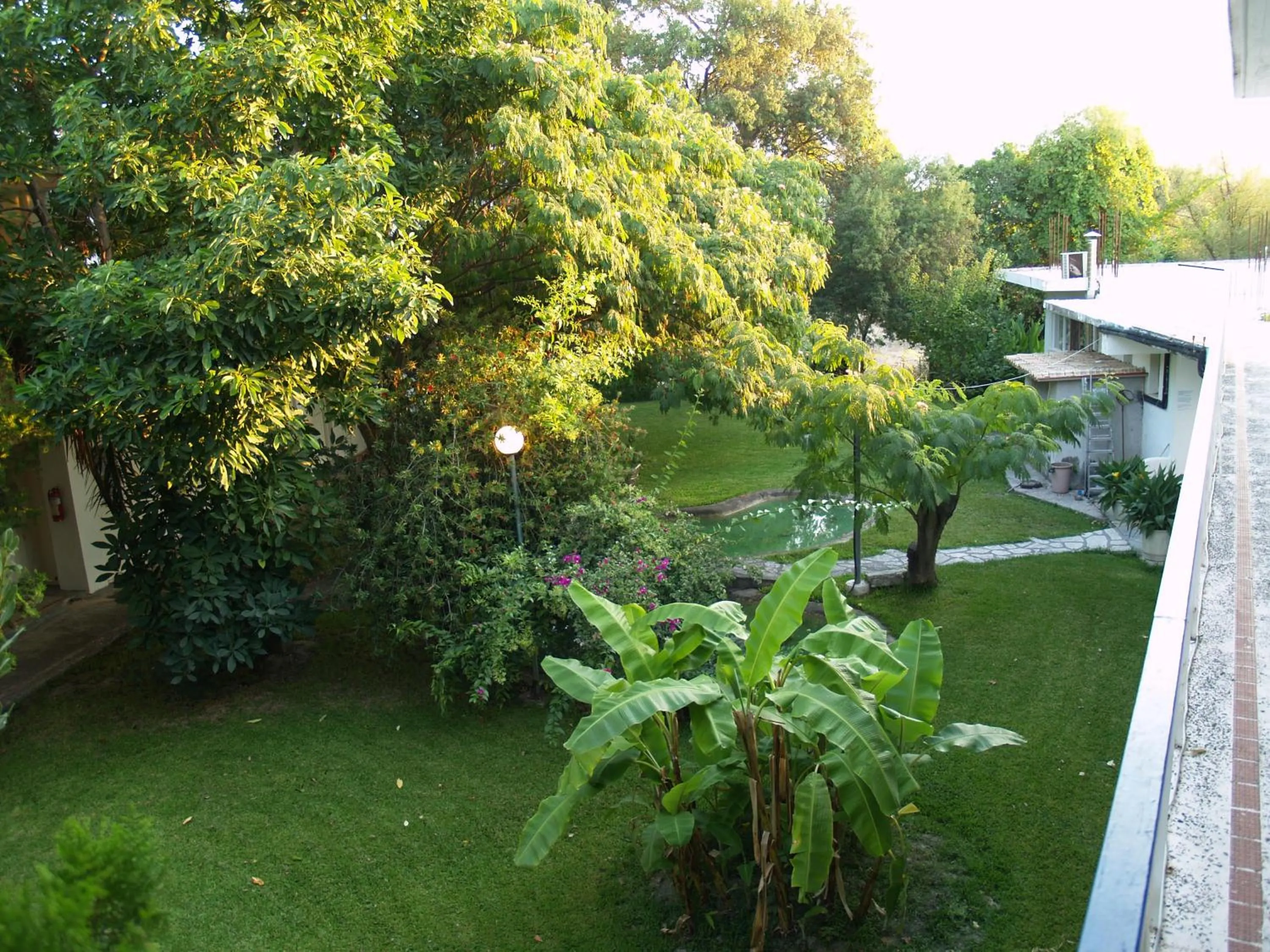 Garden in Hotel Cavo Mytikas