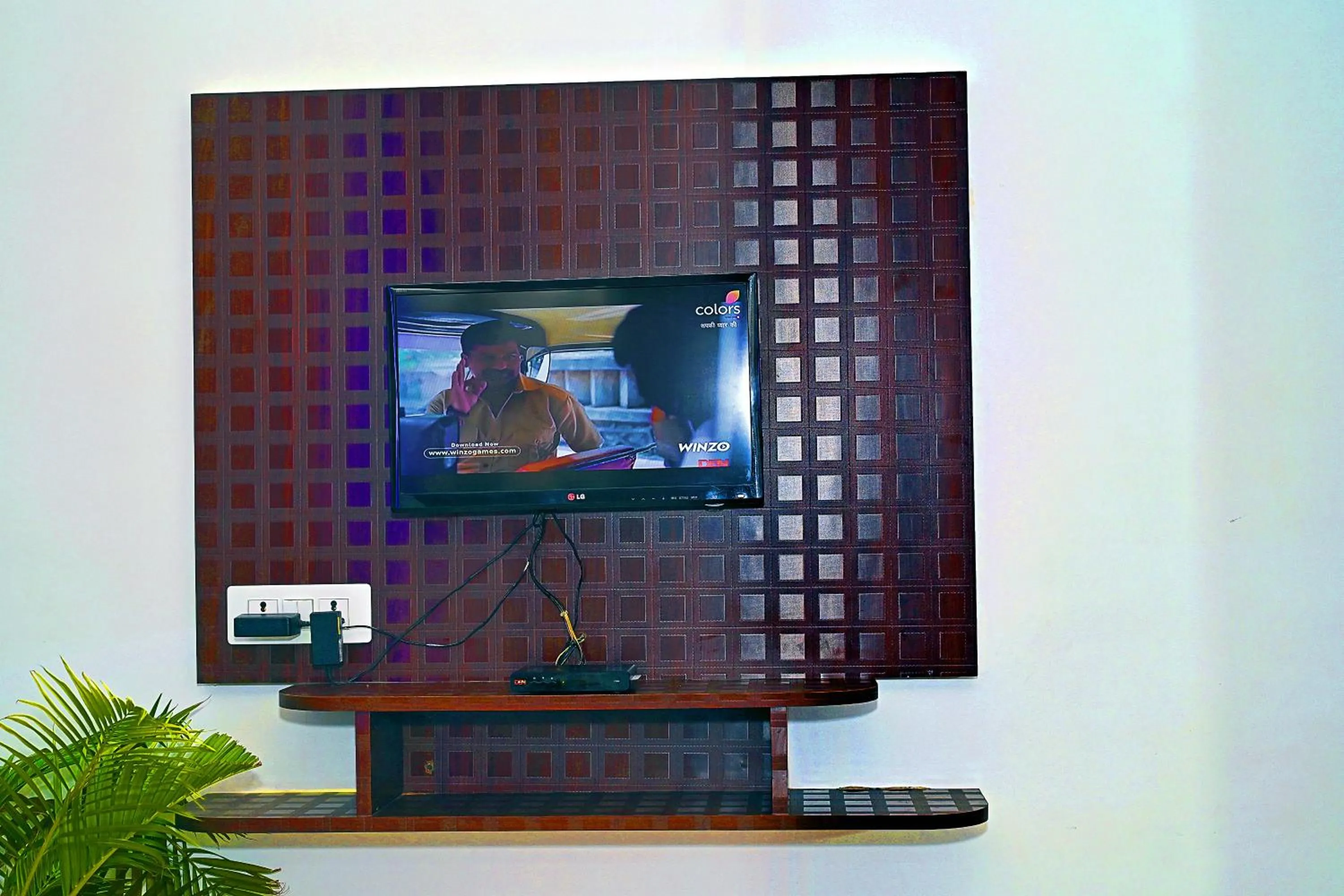 TV and multimedia in Hotel Rajhans International