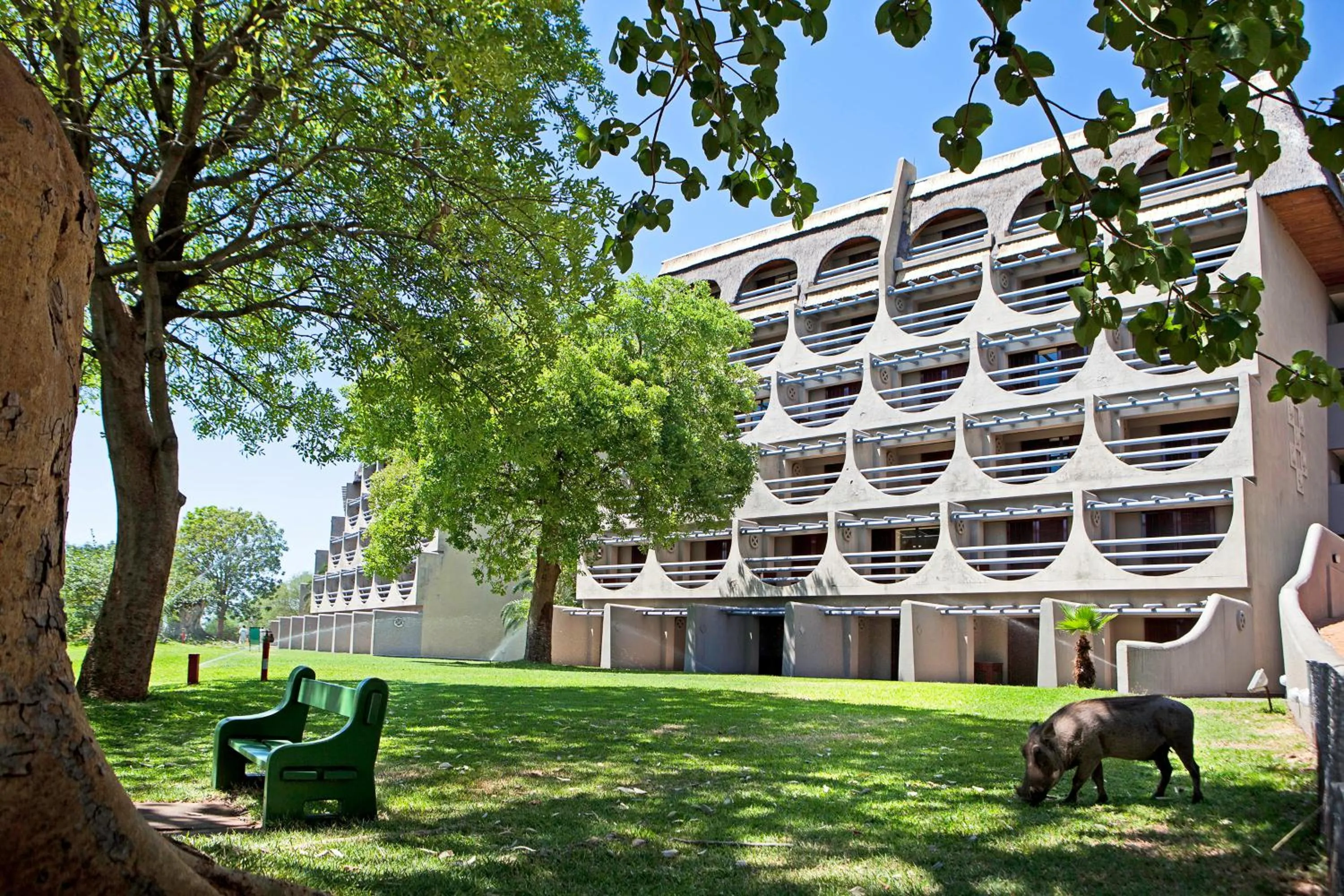 Animals in Elephant Hills Resort