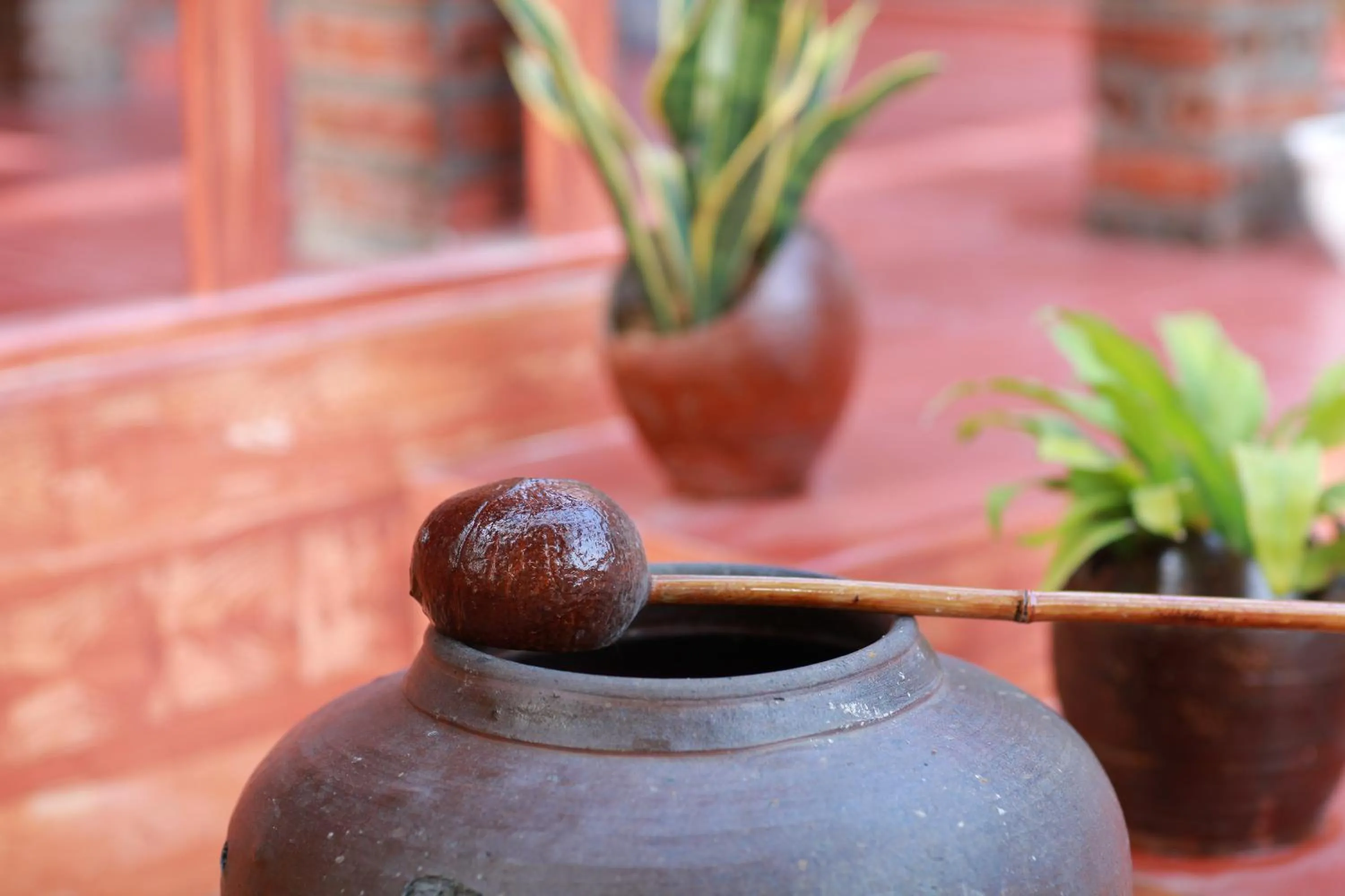 Garden in Ninh Binh Mountain View Homestay & Restaurant