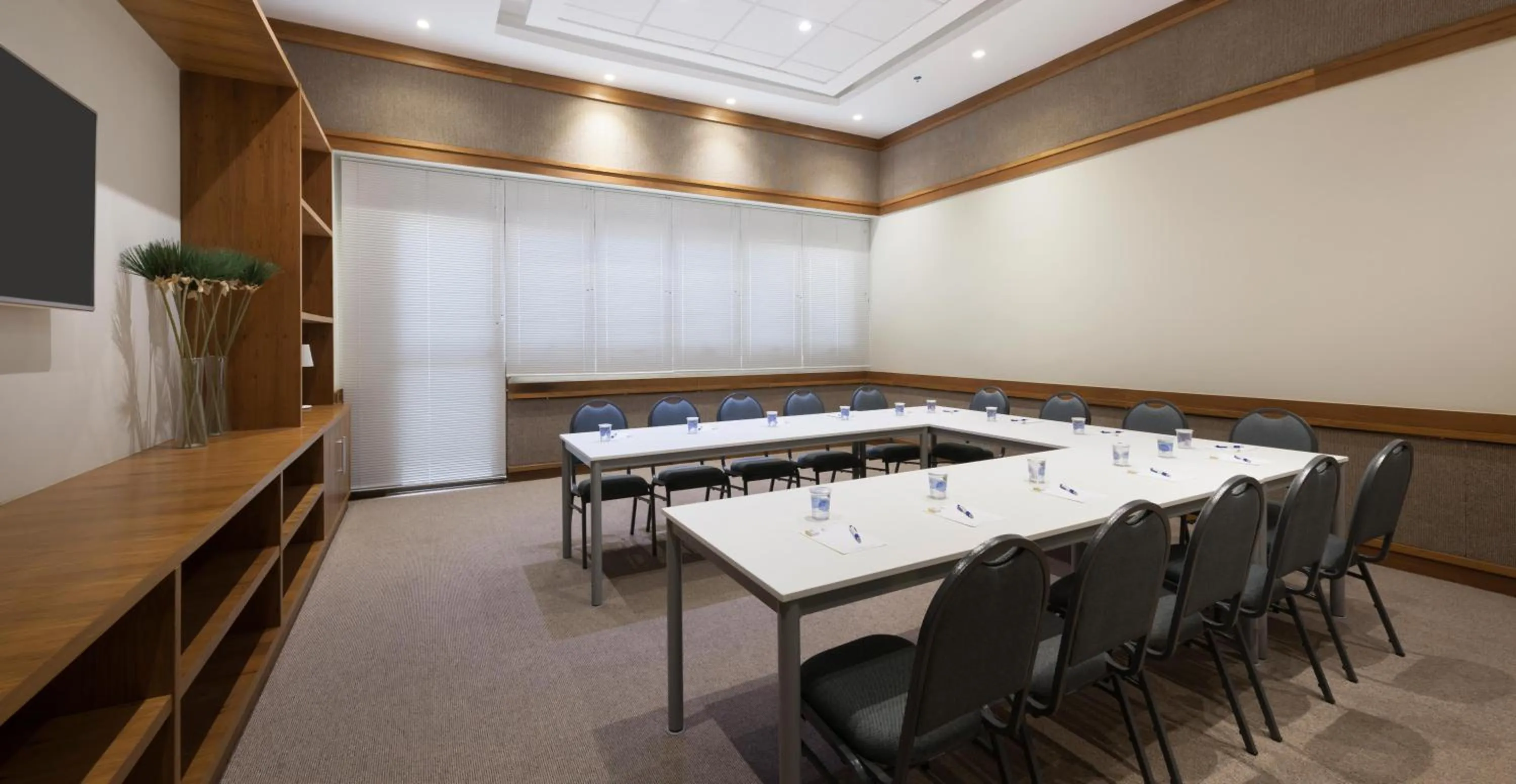 Business facilities in Matiz Multi Suites