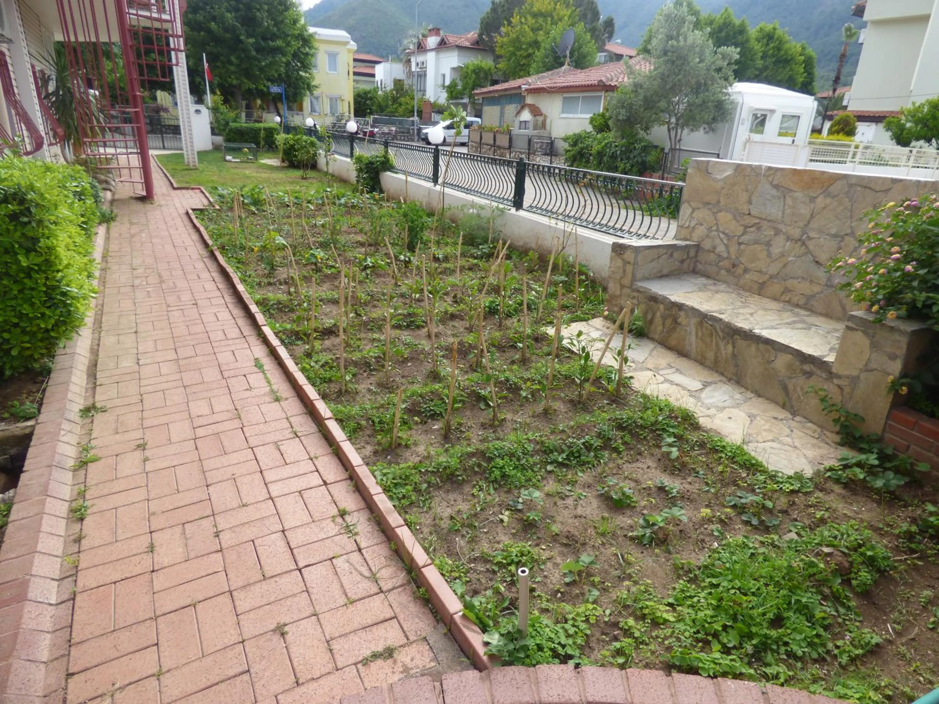 Garden in Avlu 4