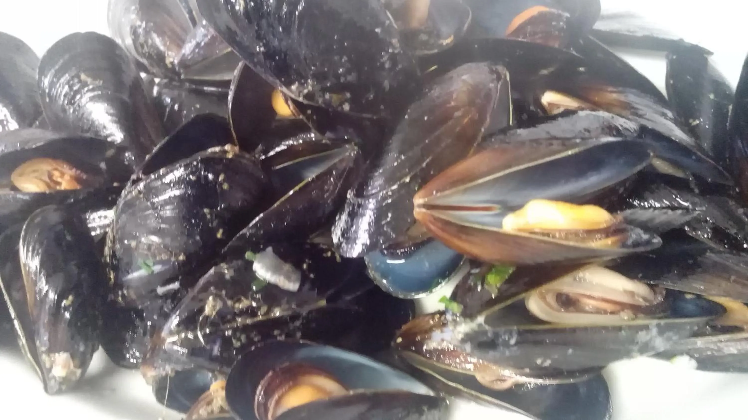 Restaurant/places to eat in Hotel Haarlem