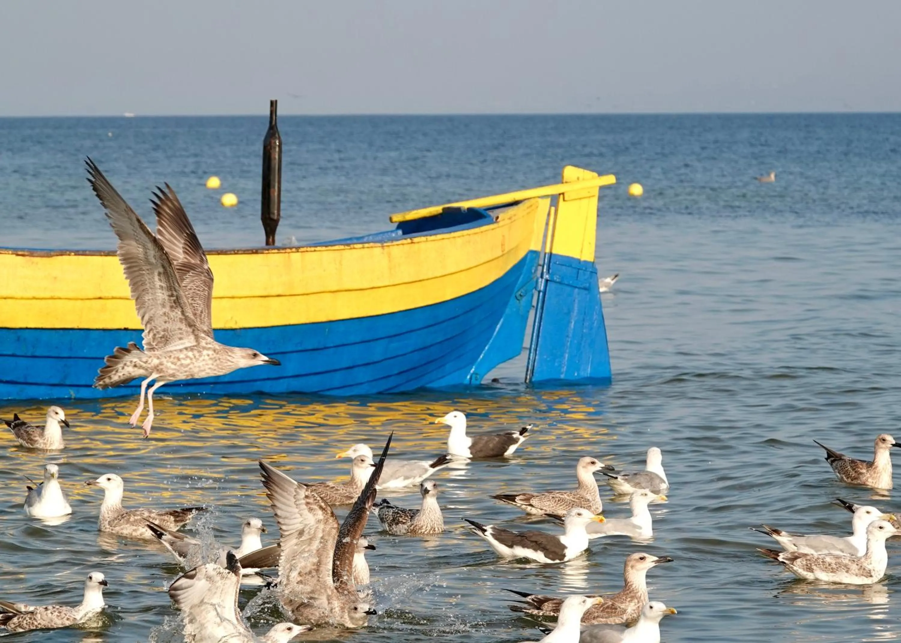 APARTAMENTY MIERZEJA - WILLA TURKUSOWA, Kąty Rybackie