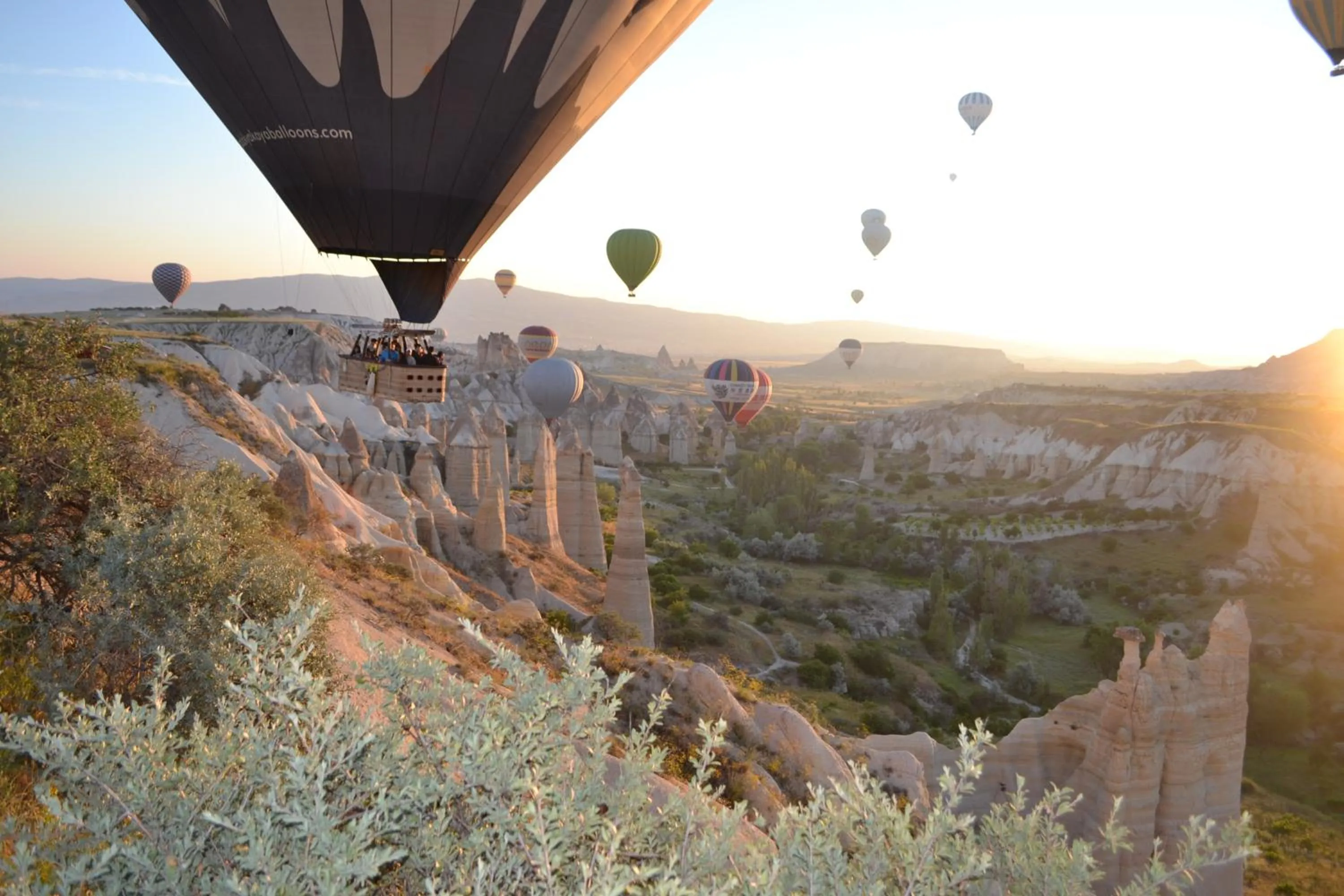 Activities in Coco Cave