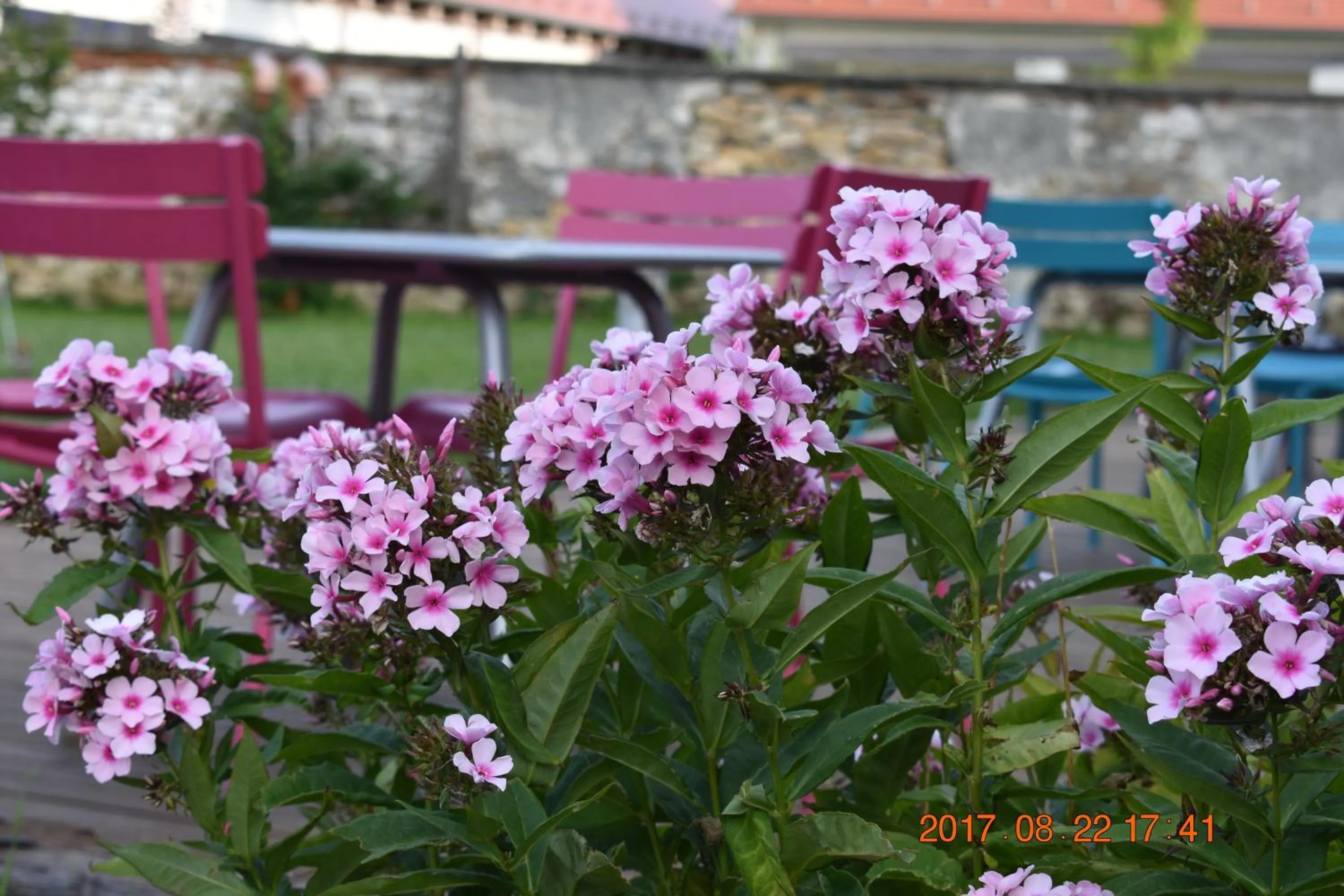 Bagolyvár Fogadó- Újfalusy Márton Vendégház