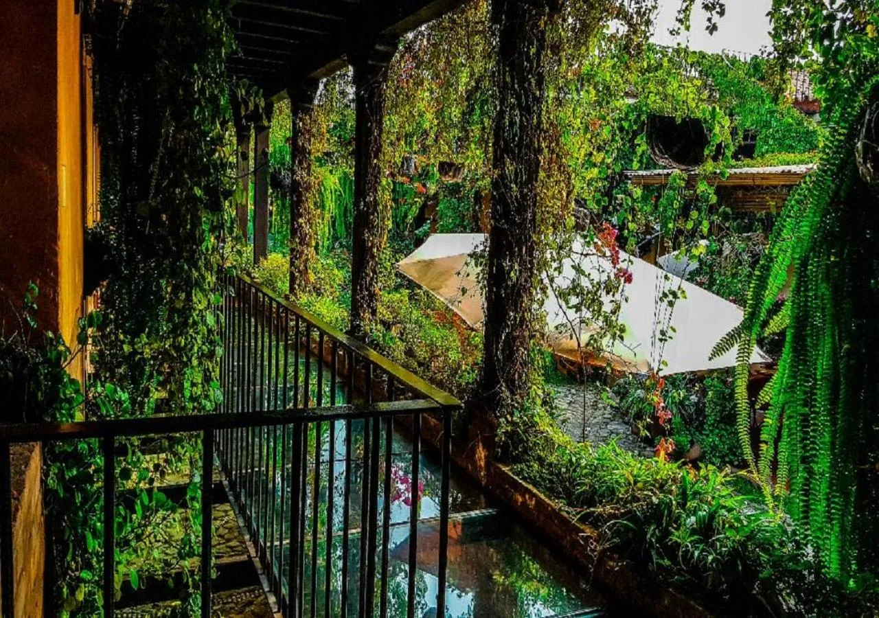 Garden view in Hotel Eterna Primavera Antigua