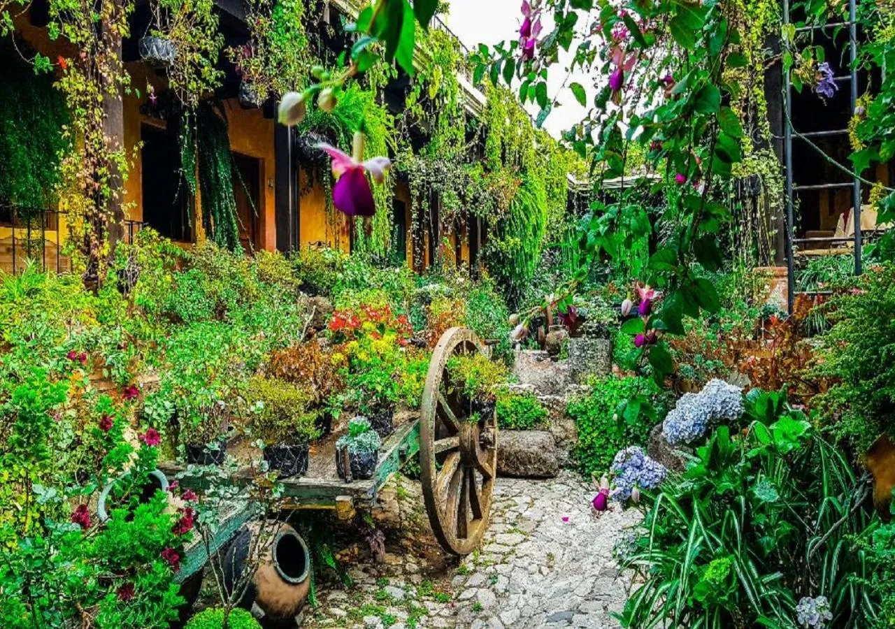 Garden view in Hotel Eterna Primavera Antigua