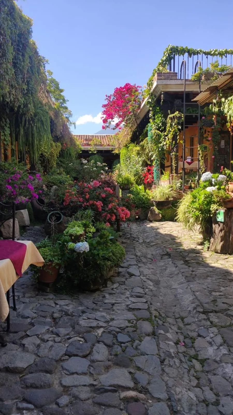 Hotel Eterna Primavera Antigua