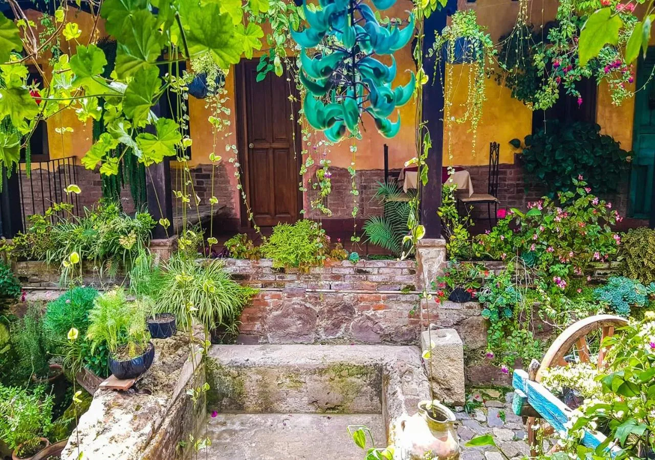 Garden in Hotel Eterna Primavera Antigua