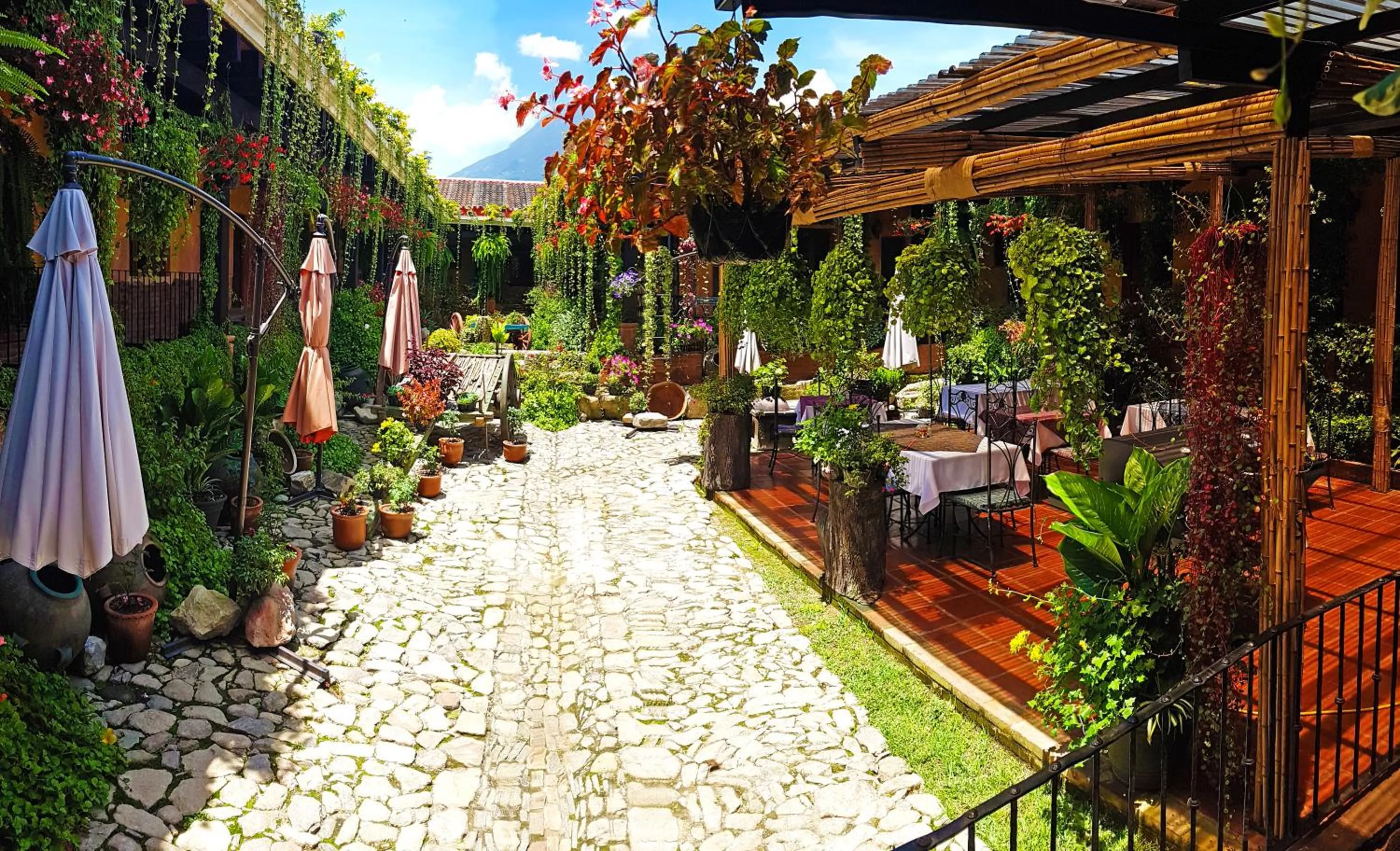 Garden in Hotel Eterna Primavera Antigua