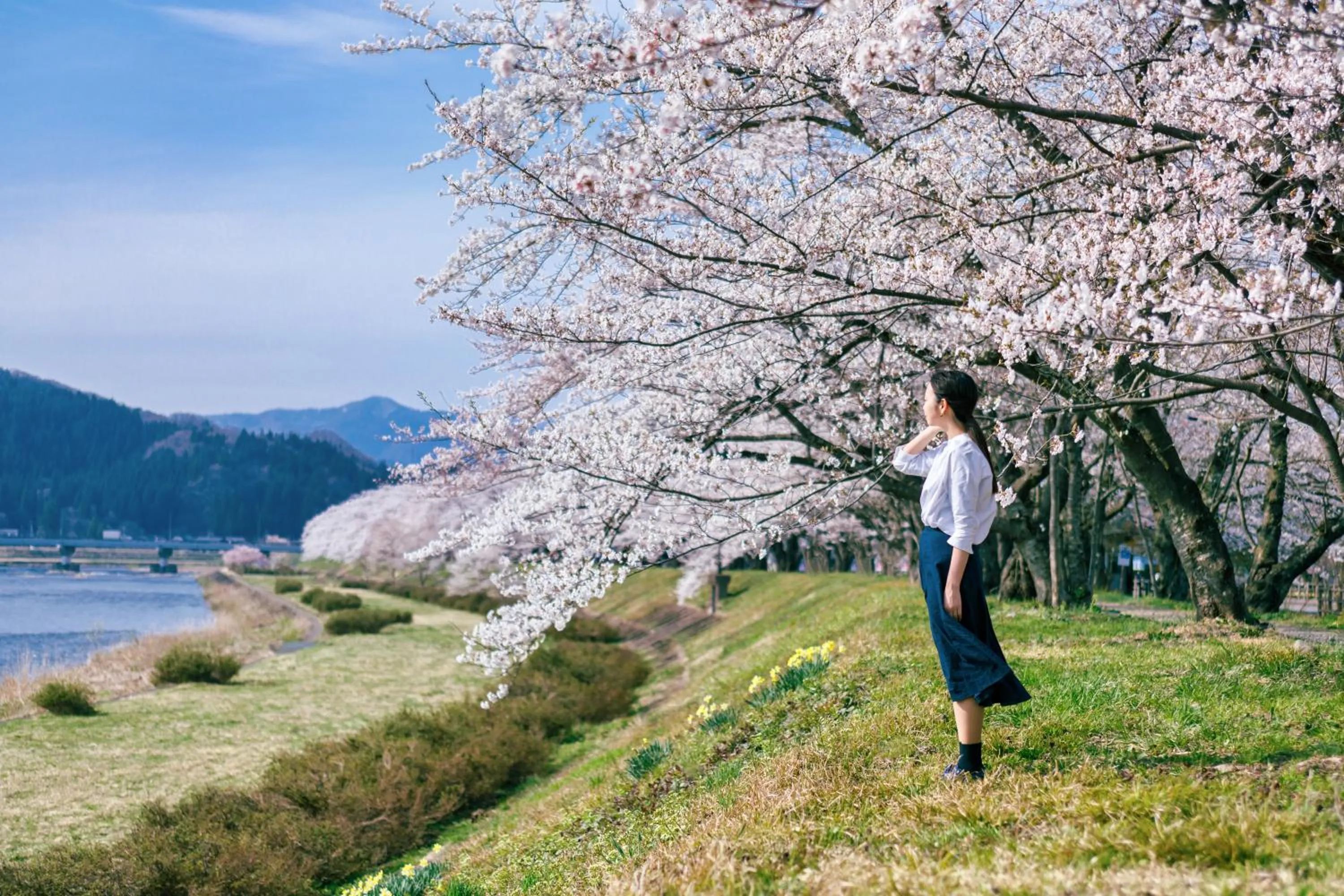 Nearby landmark in Tazawako Lake Resort & Onsen