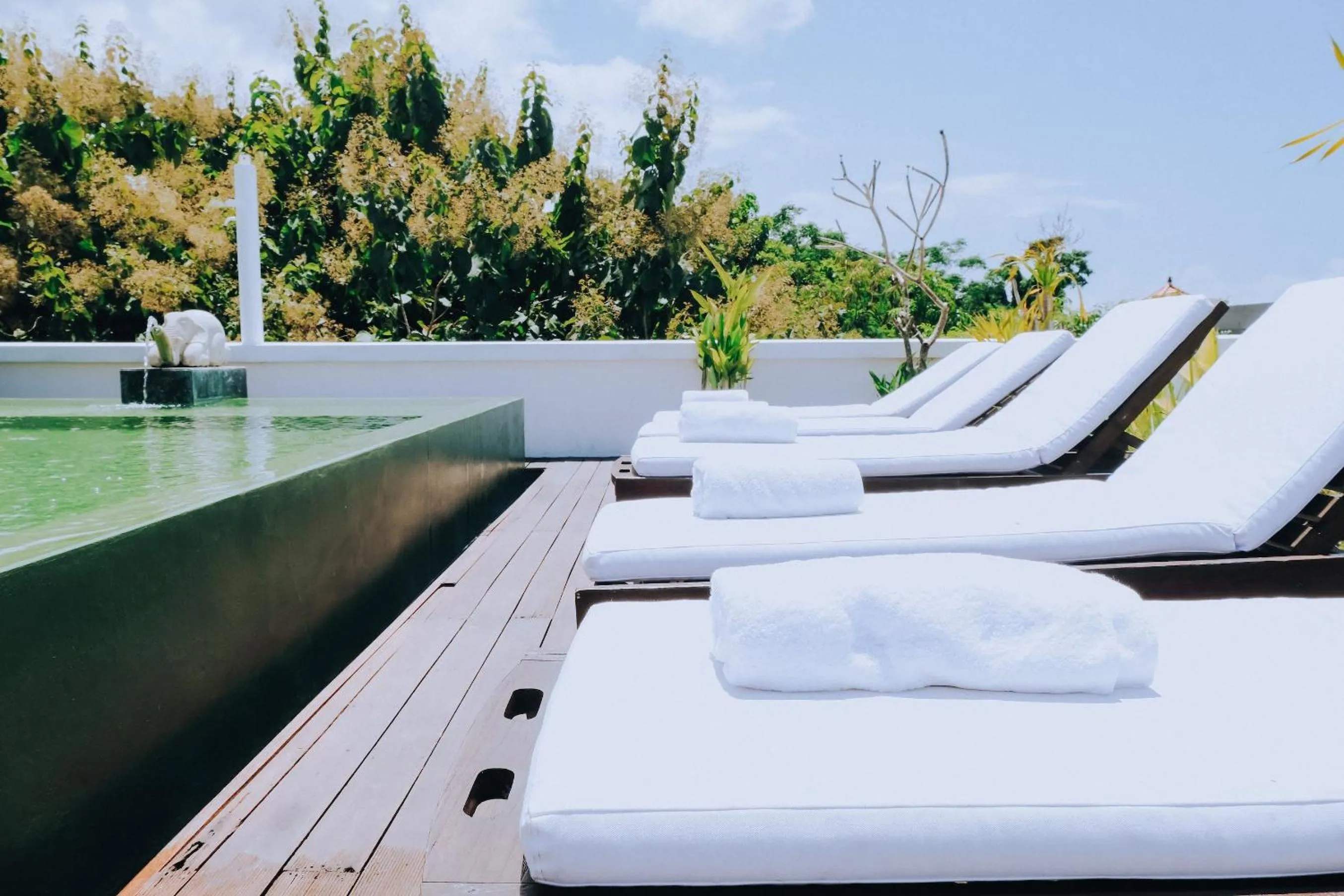 Natural landscape in Allia Residence