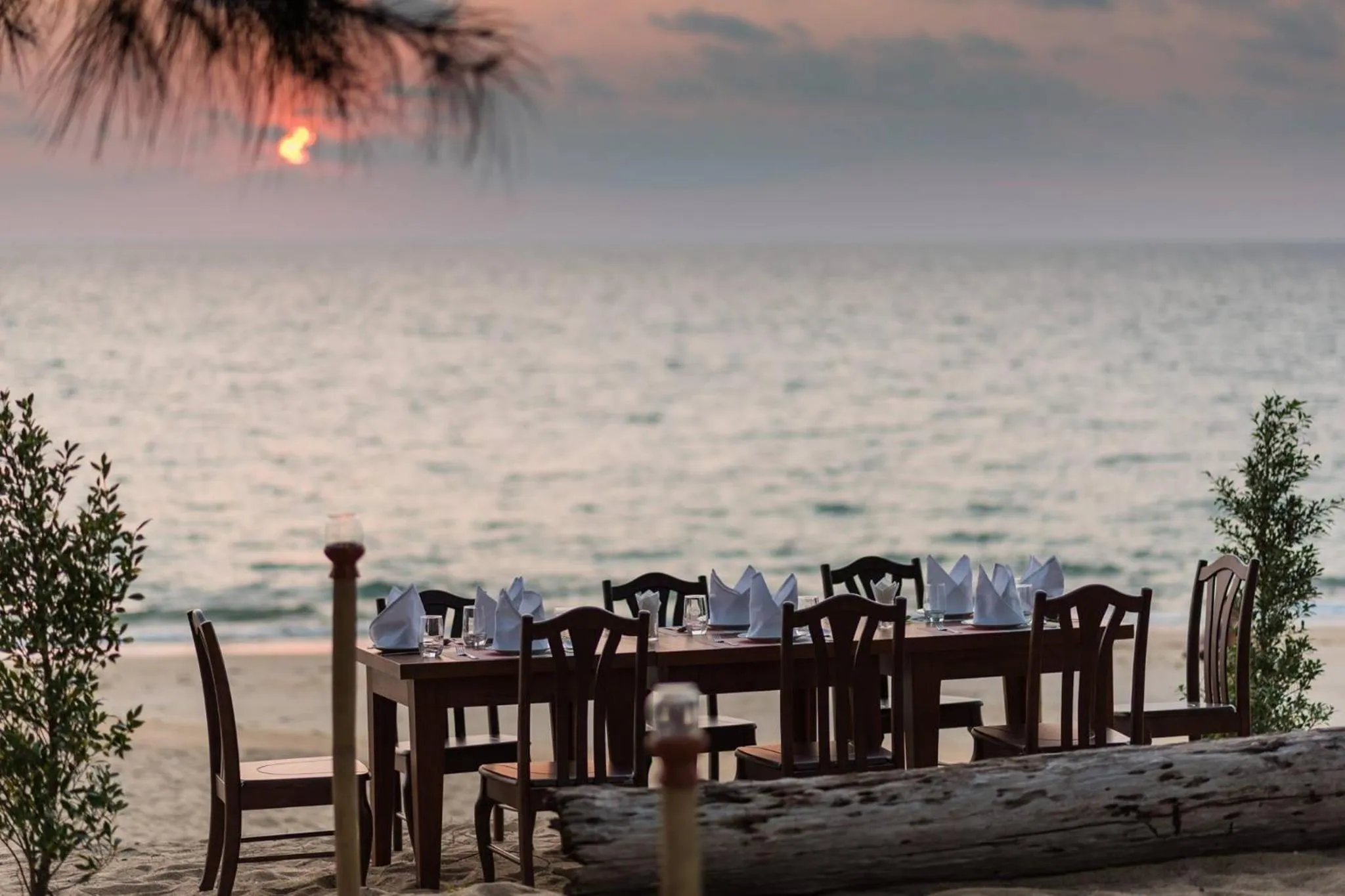 Restaurant/places to eat in Coriacea Beachfront Boutique Phuket Resort
