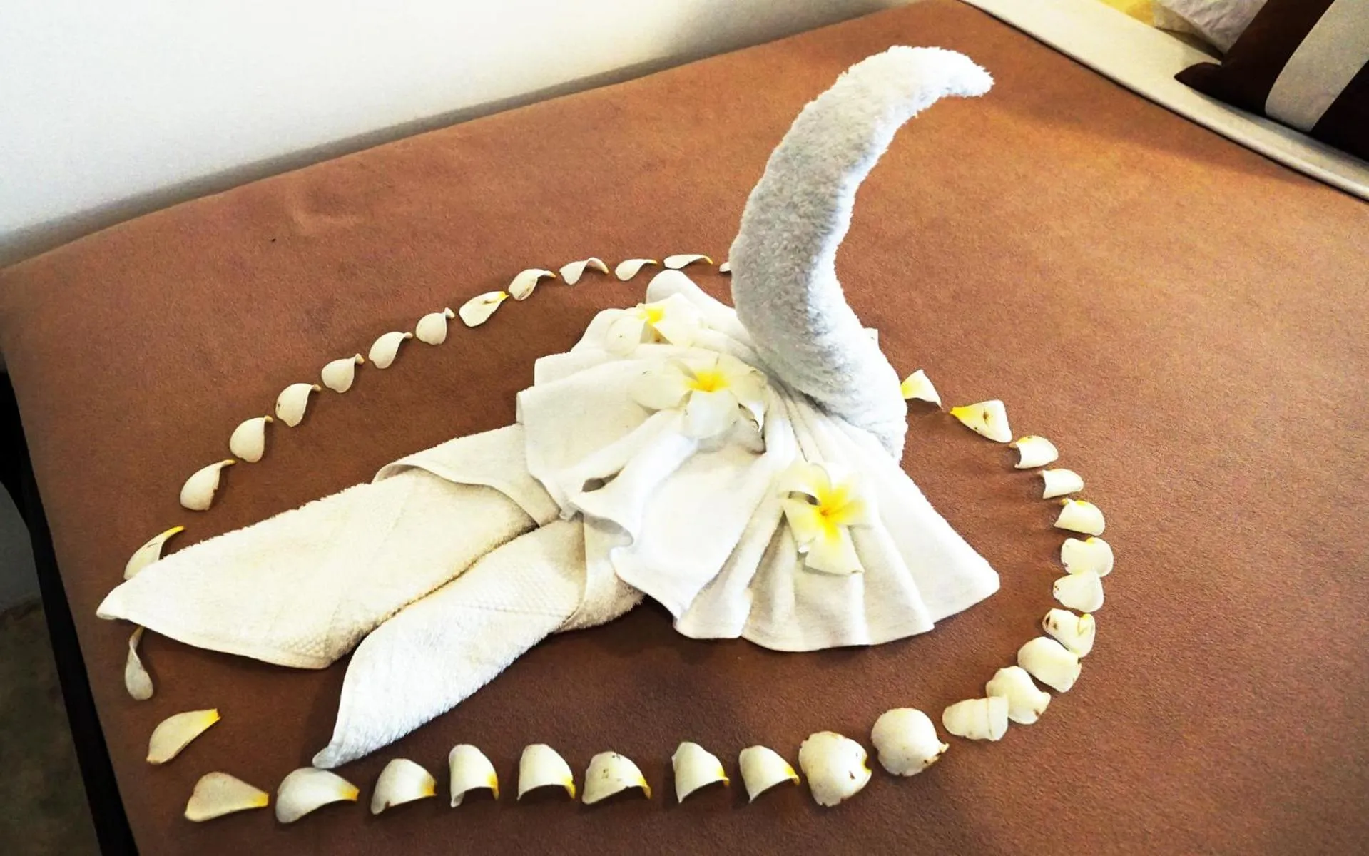 Property building in Phuket Paradiso