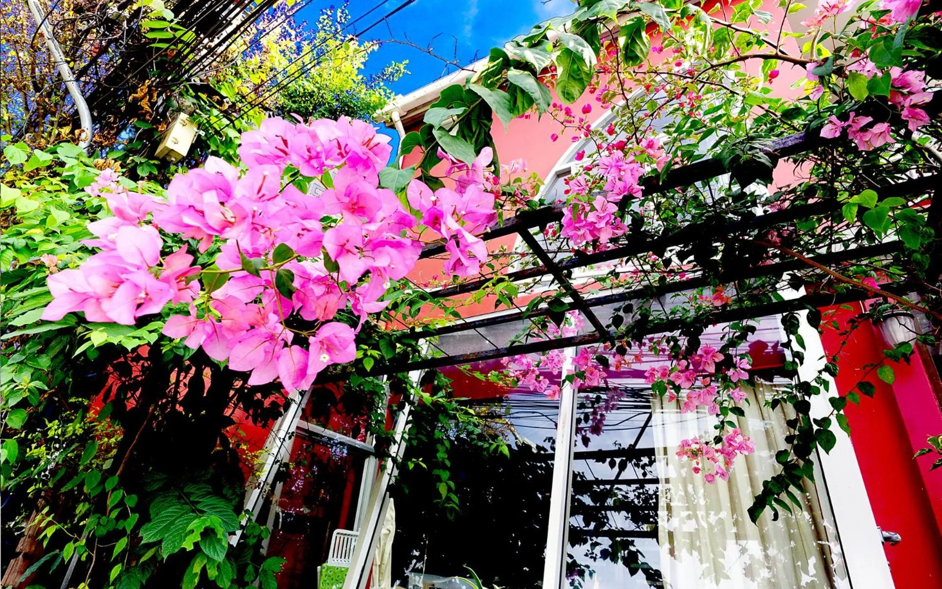 Property building in Phuket Paradiso