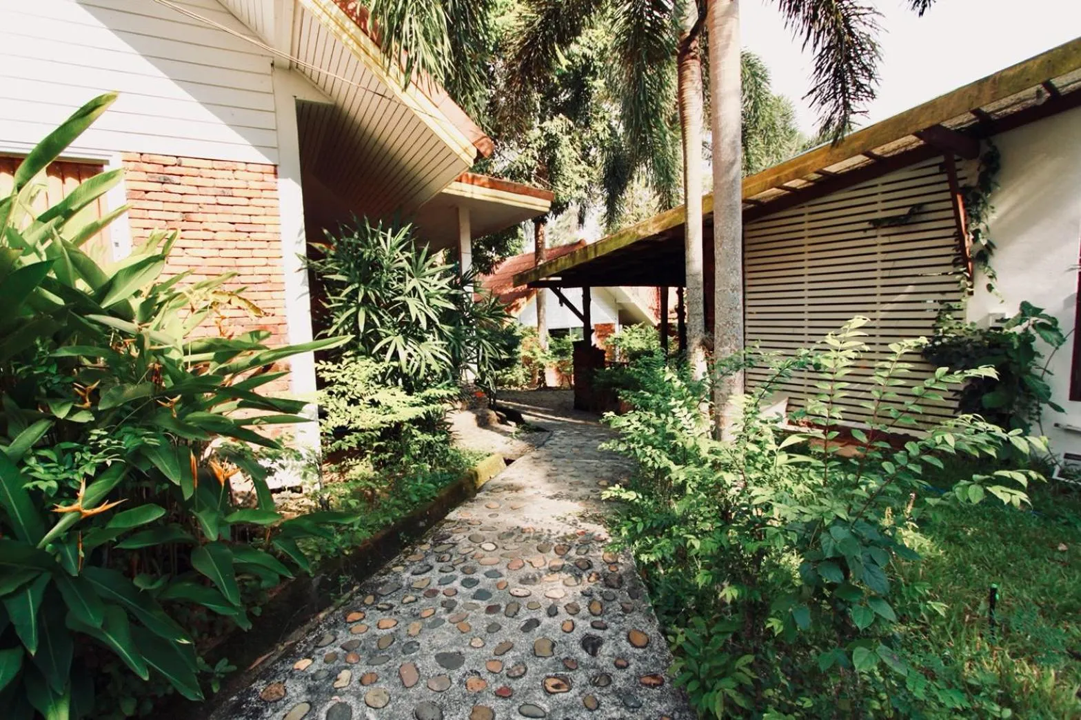 Garden in Adang Island Resort