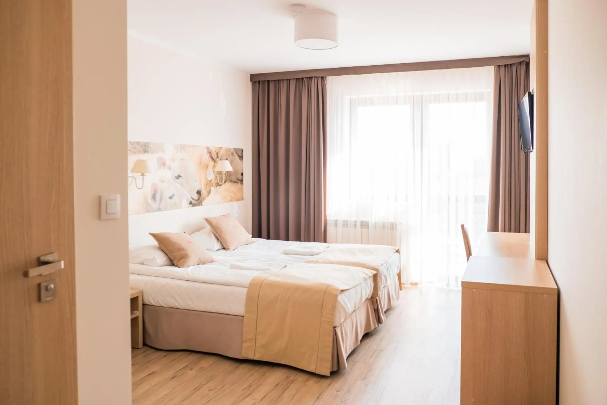 Photo of the whole room, Bed in Cicha Zdrój