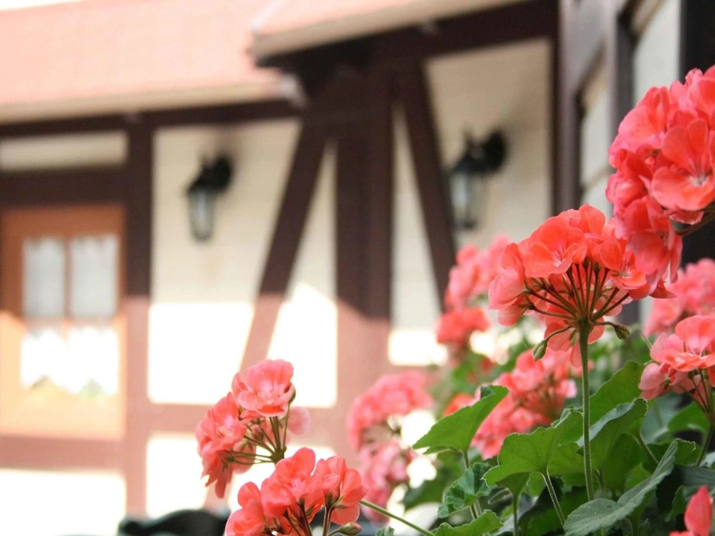 Facade/entrance in Hotel Schützen