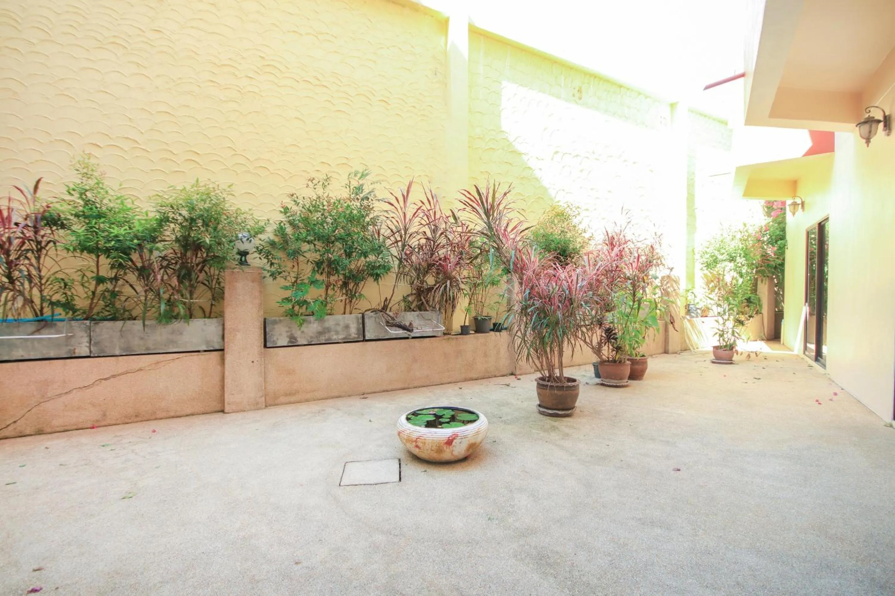 Garden in Ban Elephant Blanc Apartment