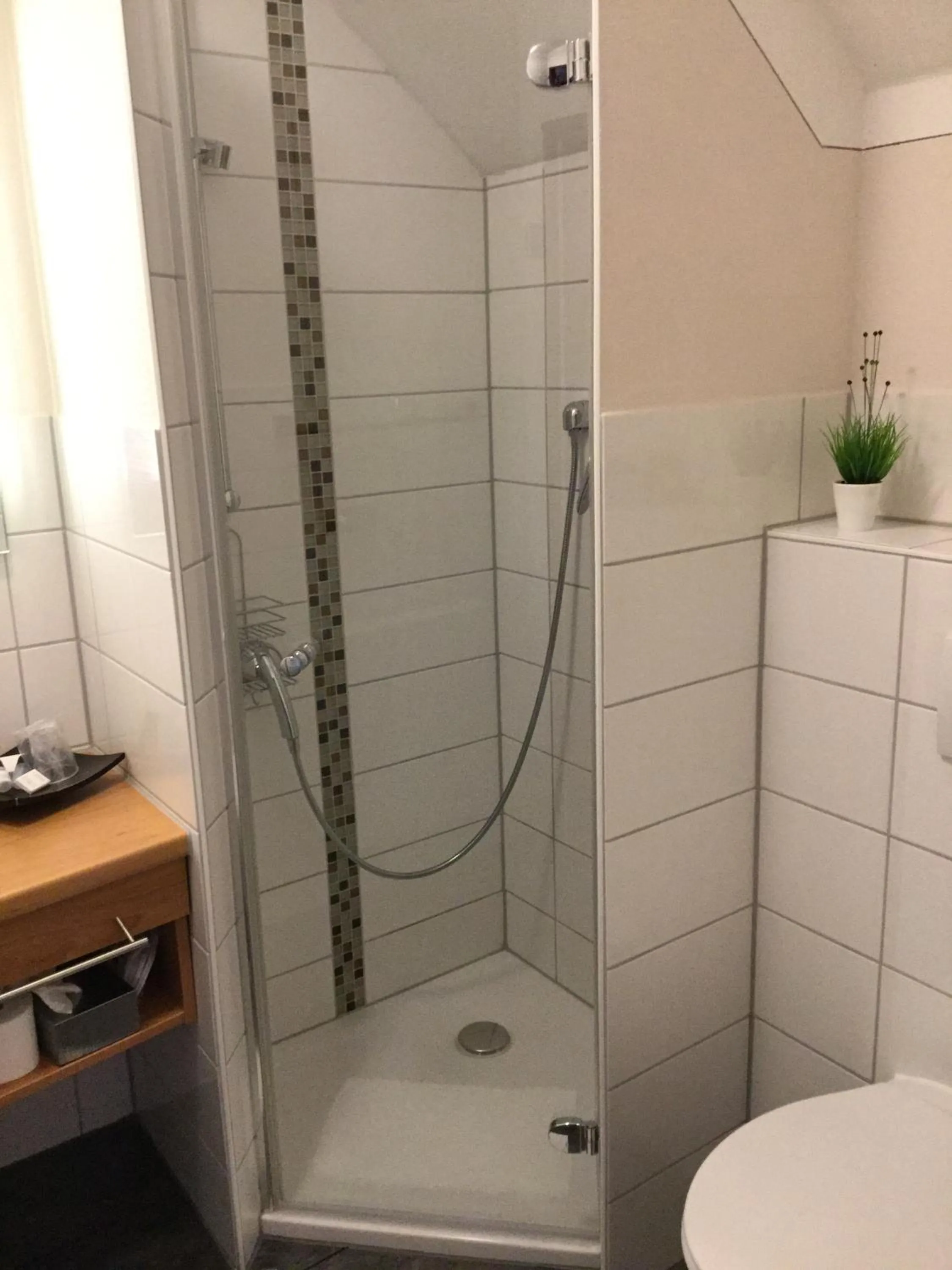 Other in Waldgasthof St.Wolfgang