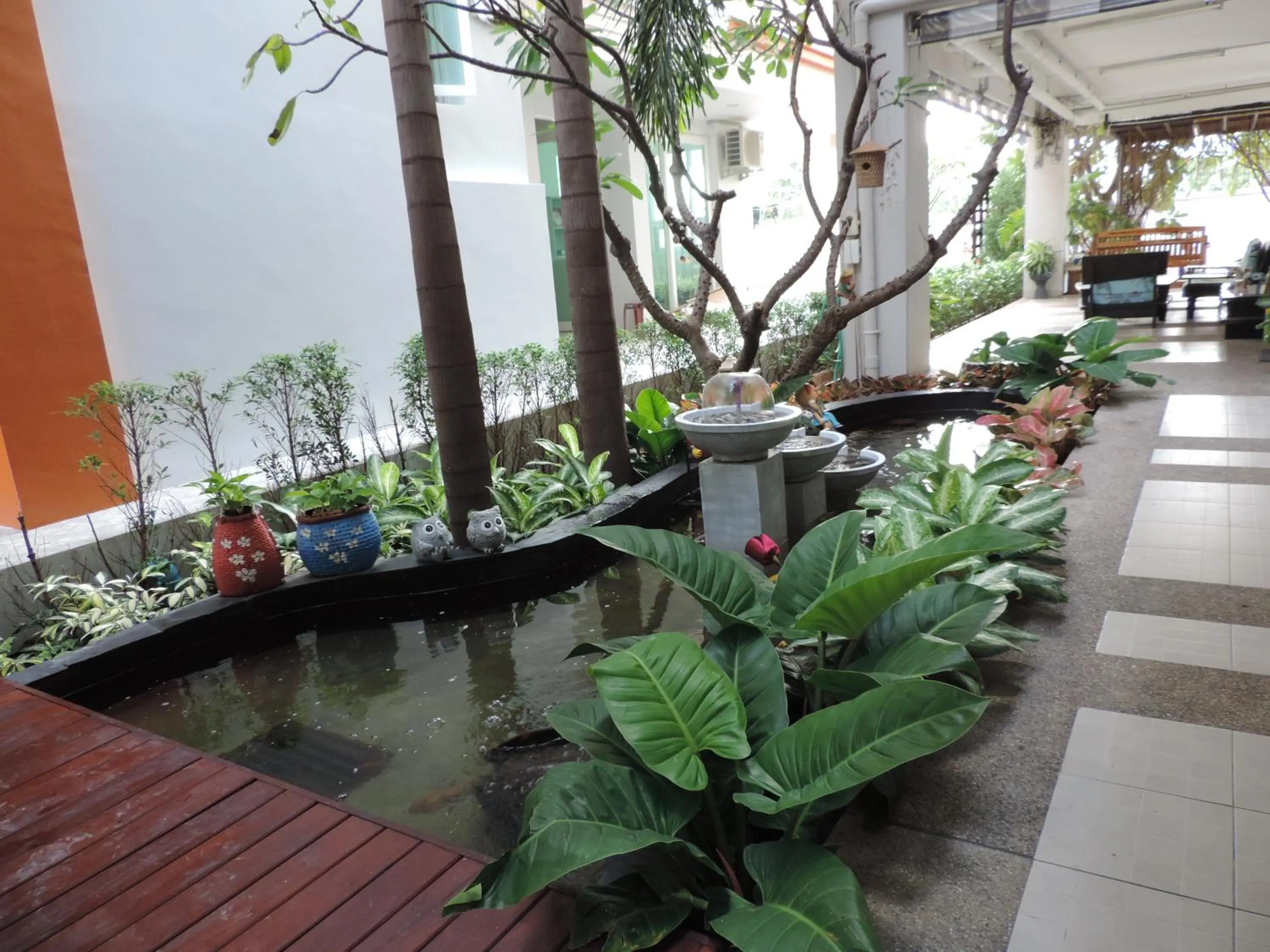 Garden in The Garden Living