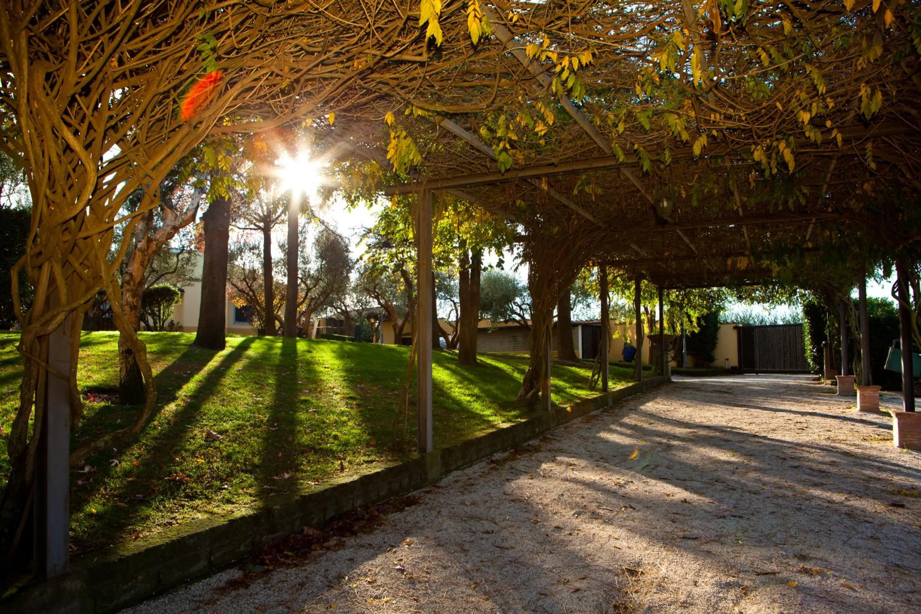 Garden in Aquilamaior