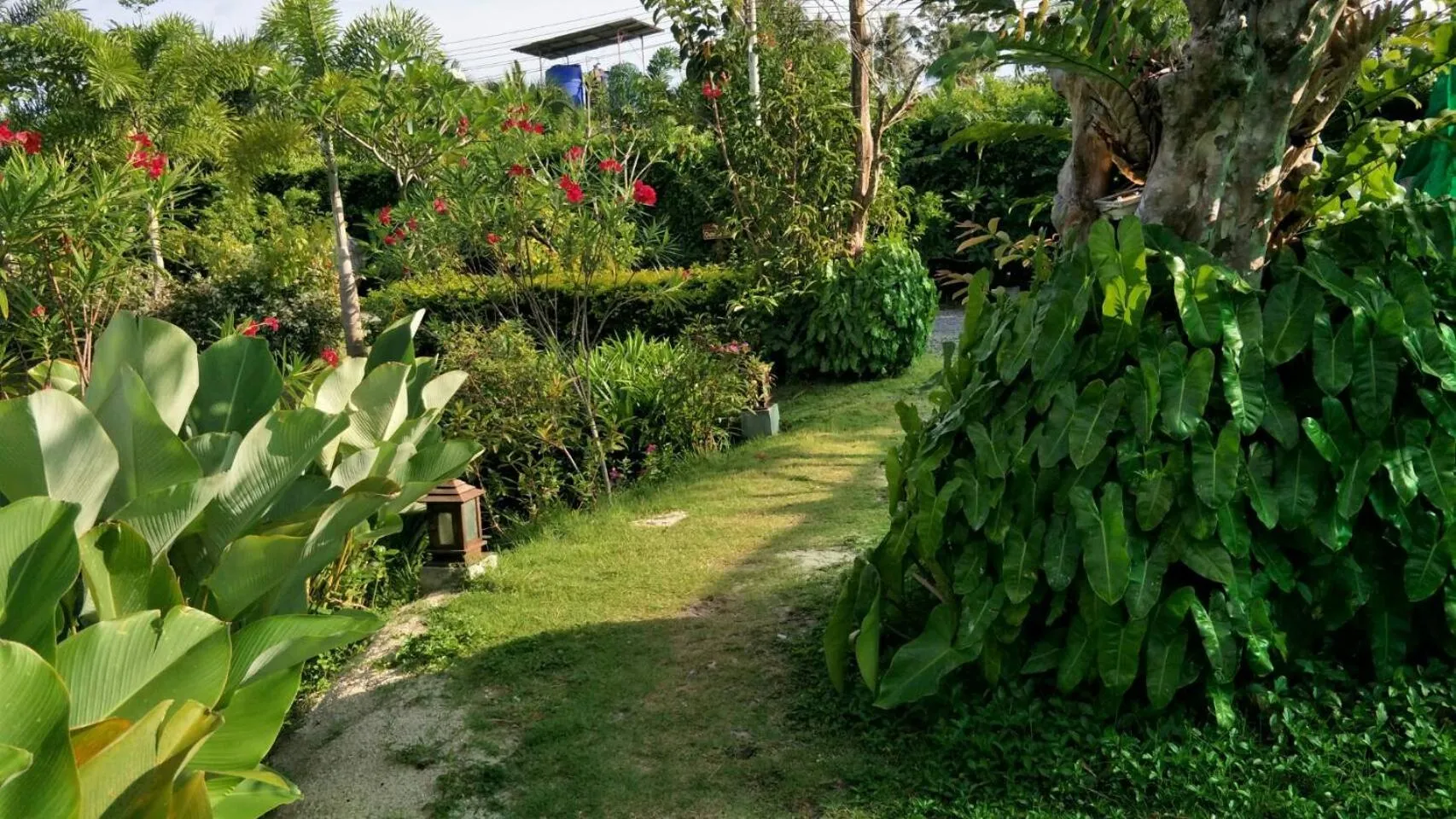 Garden in Arthaya Villas - SHA Extra Plus