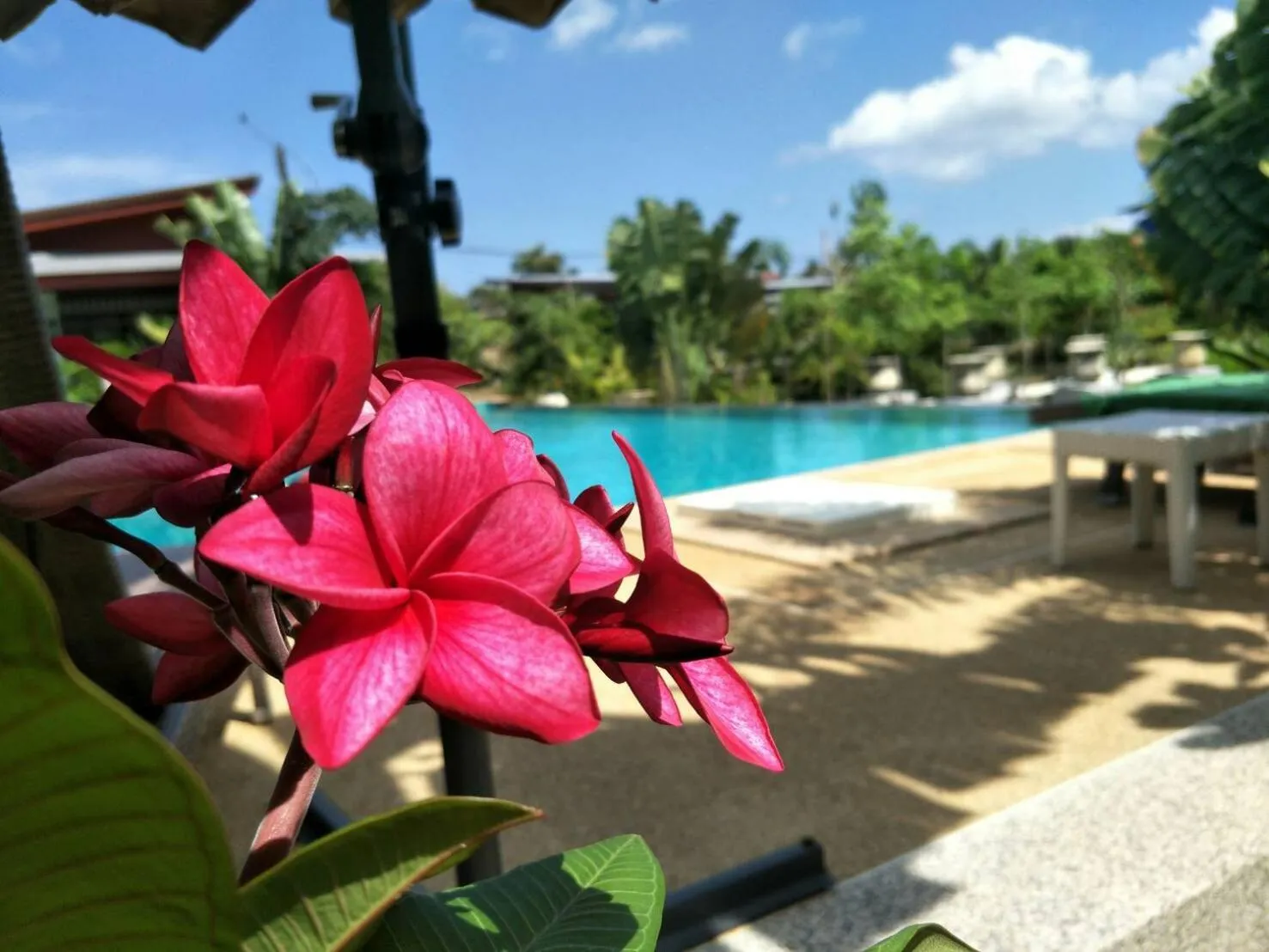 Arthaya Villas - SHA Extra Plus