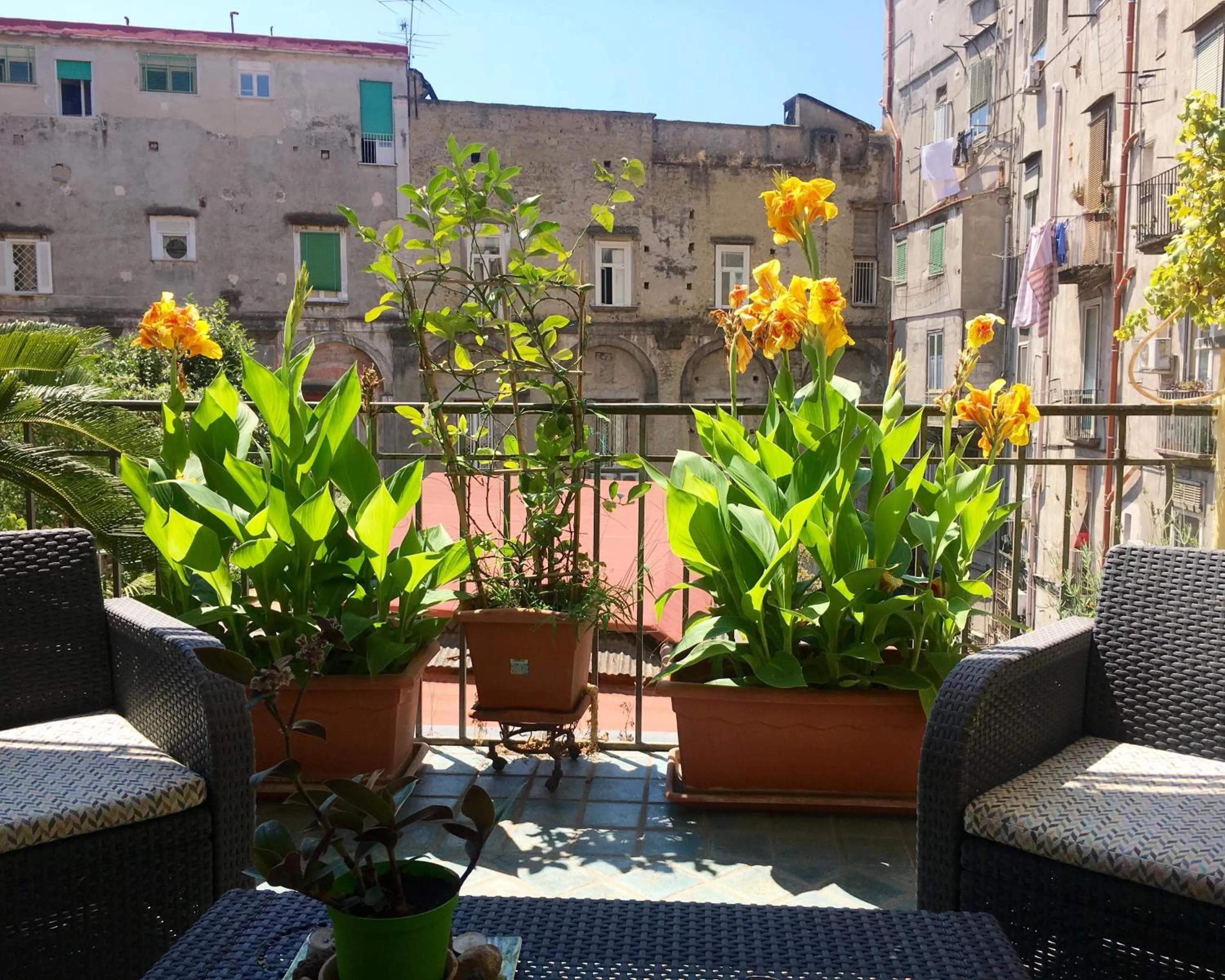 Balcony/Terrace in B&B Bellini
