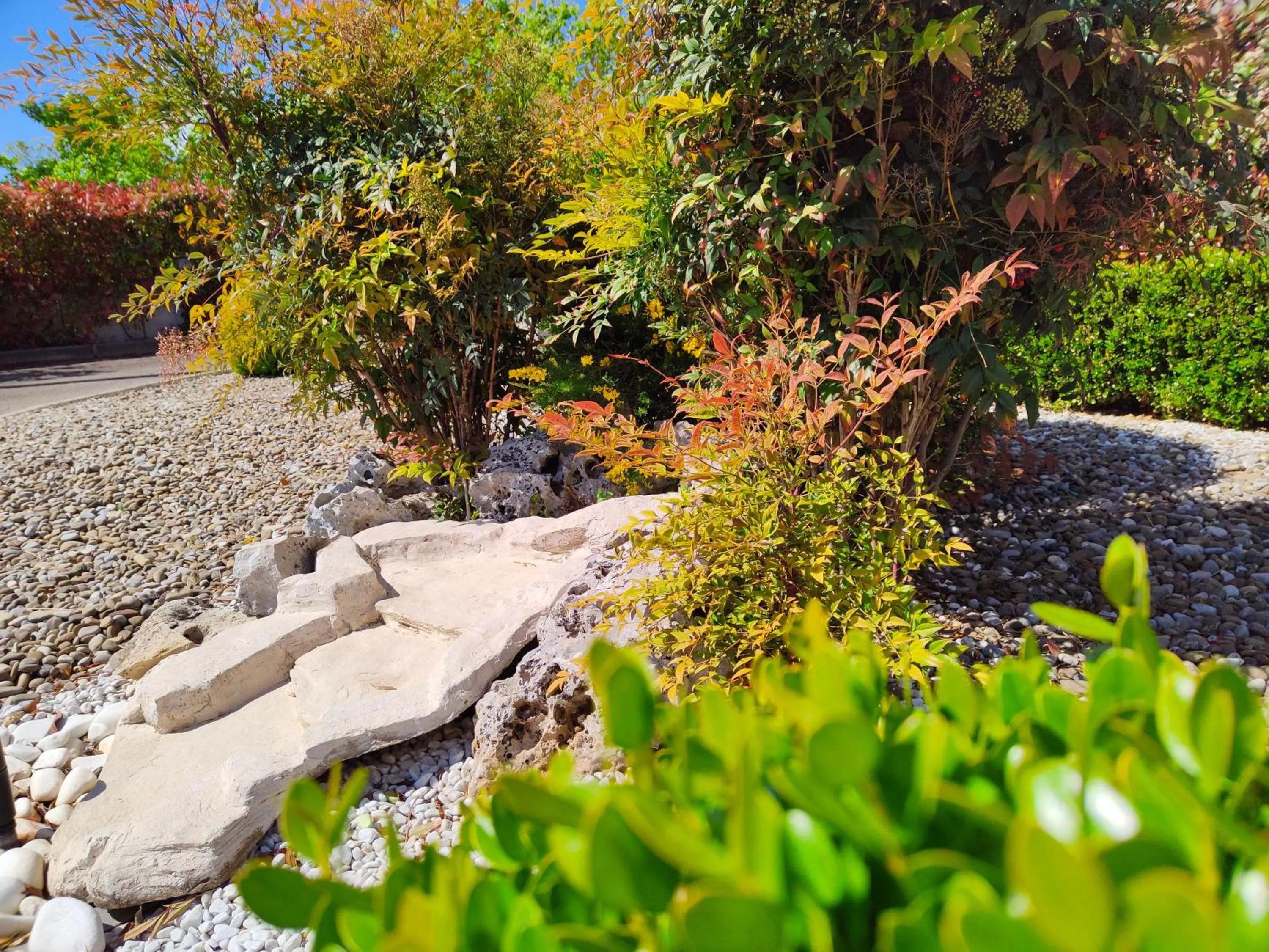 Garden in Mamma Puglia Suite & Breakfast