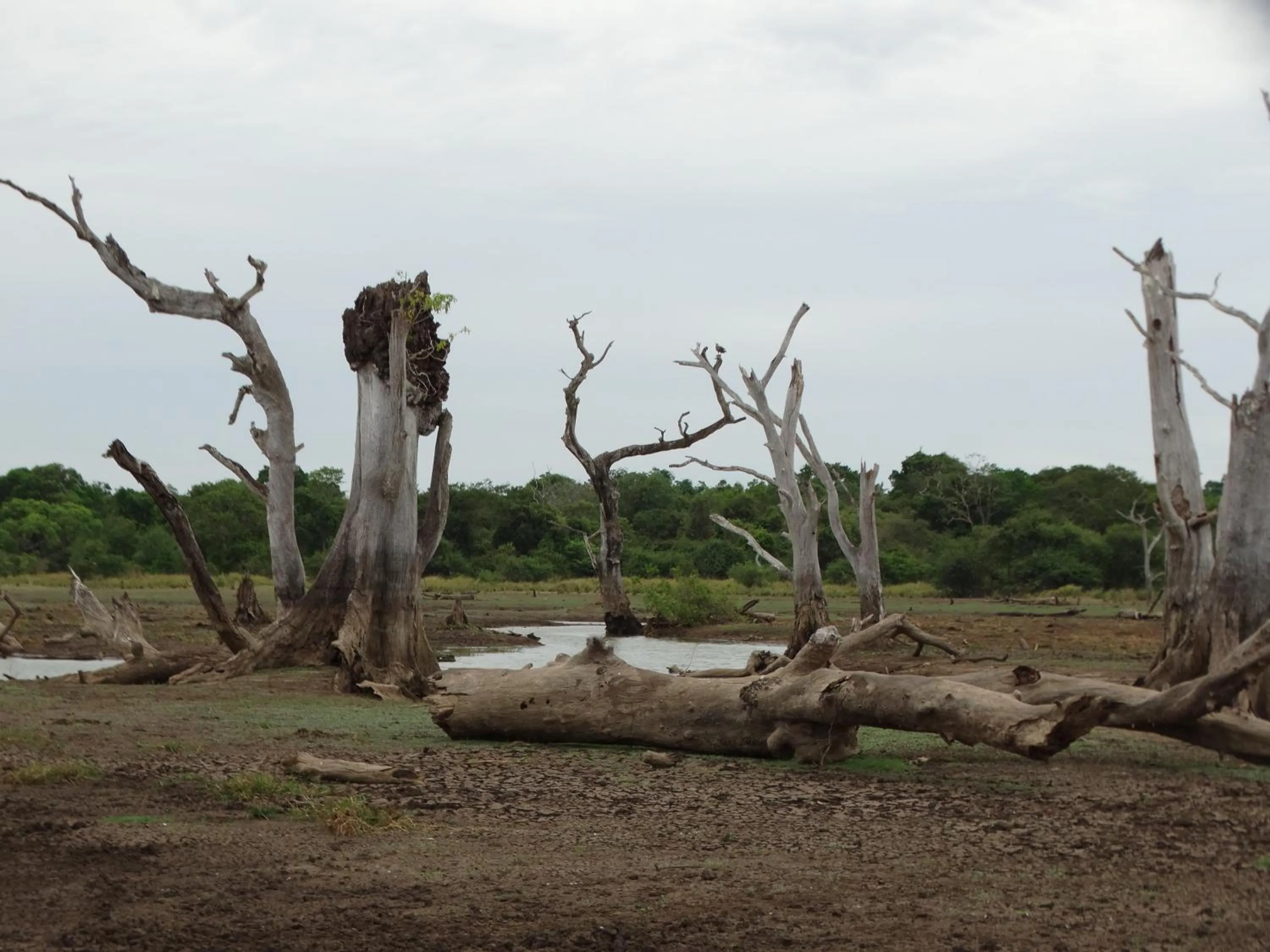Area and facilities in Thirumalai Park