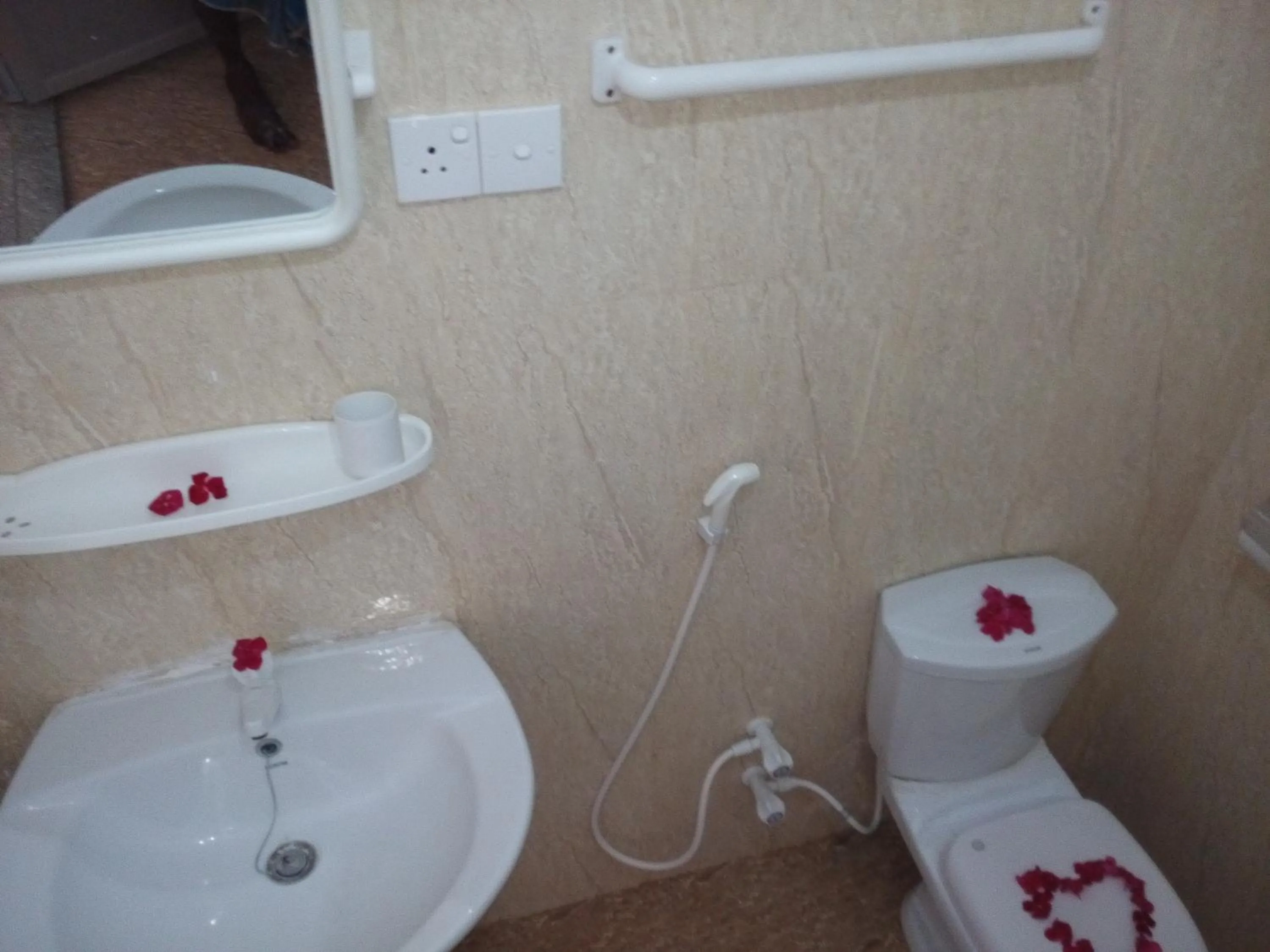 Bathroom in Thirumalai Park